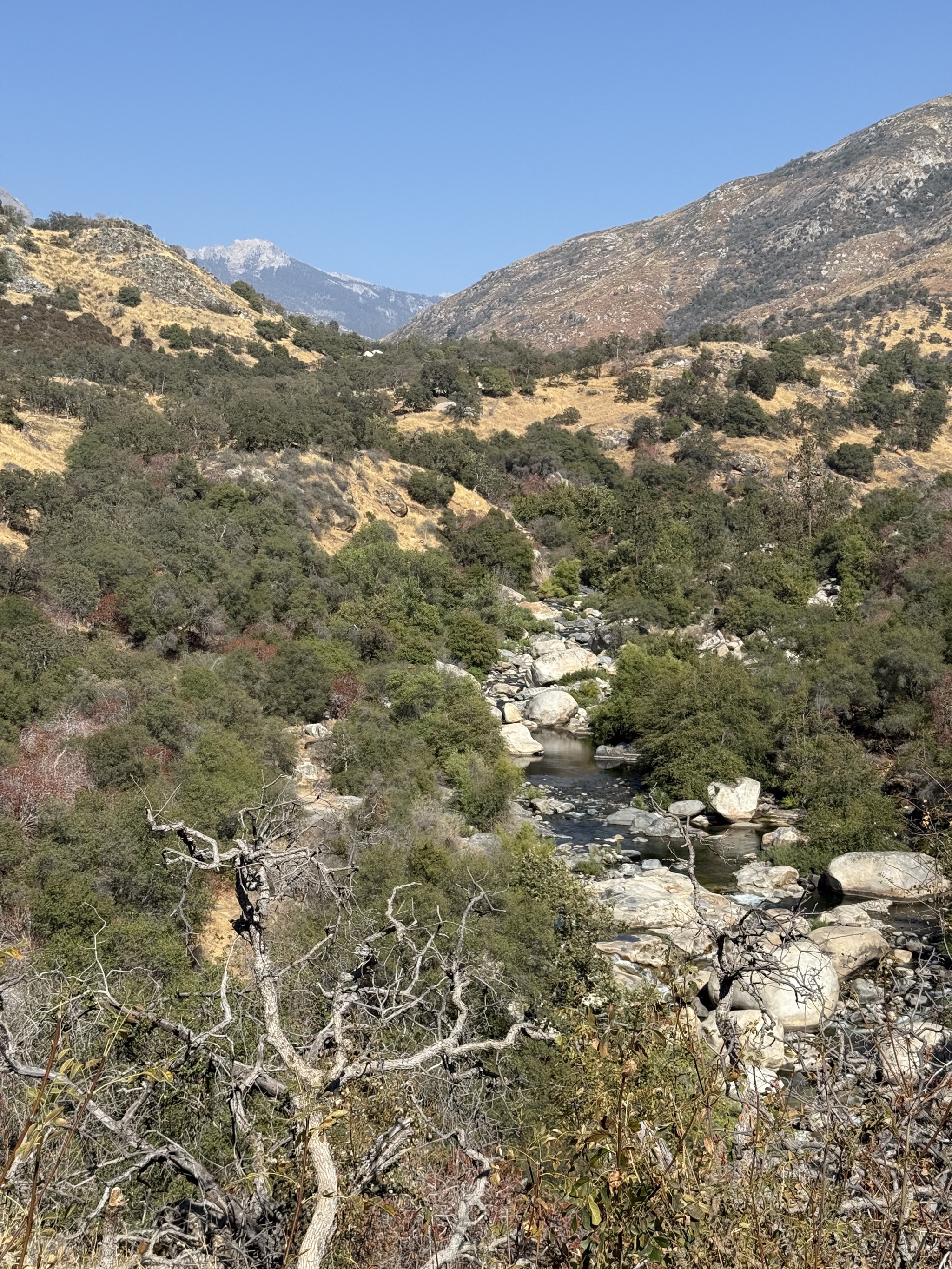 Kaweah River
