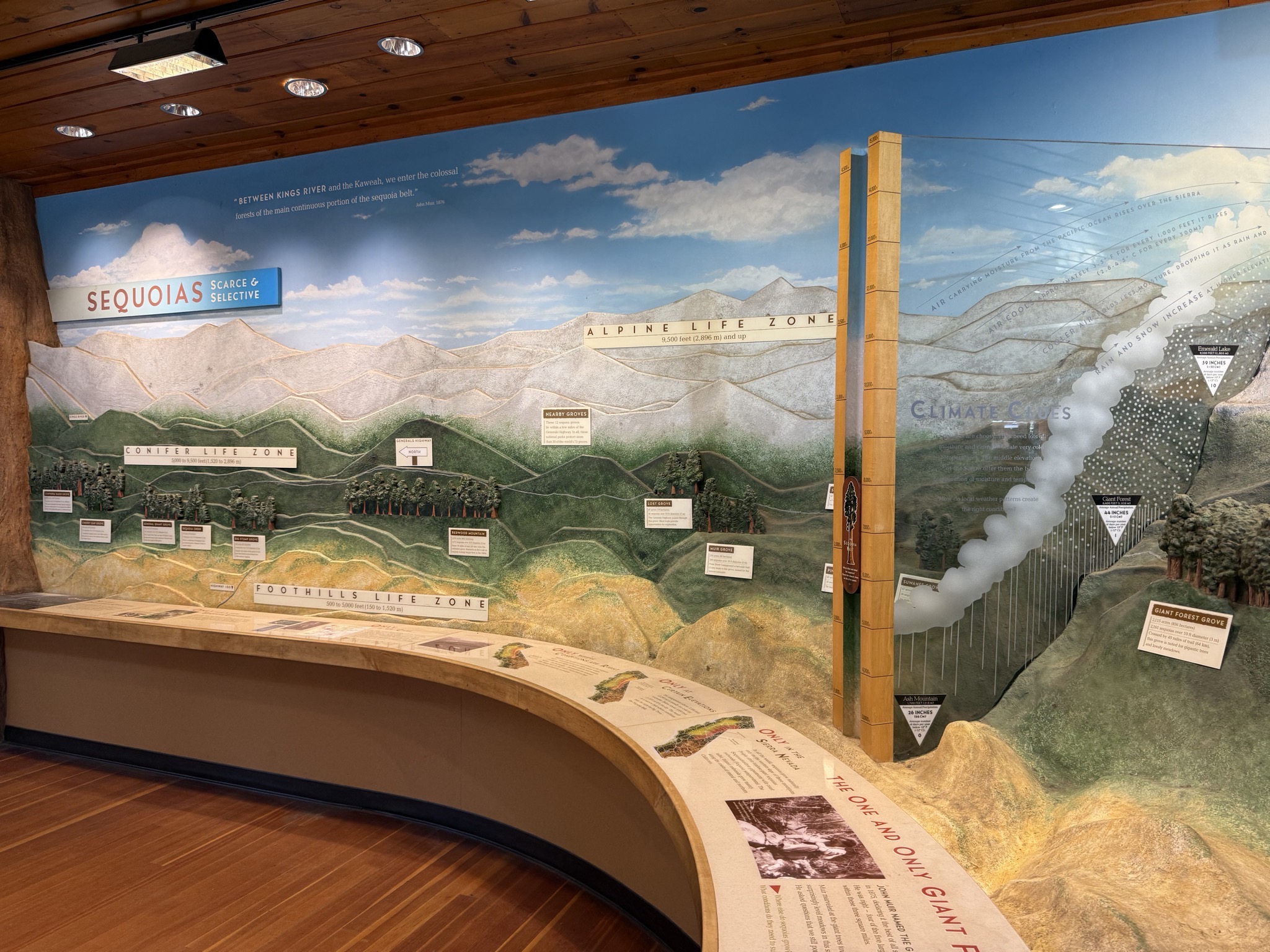 Giant Forest Museum