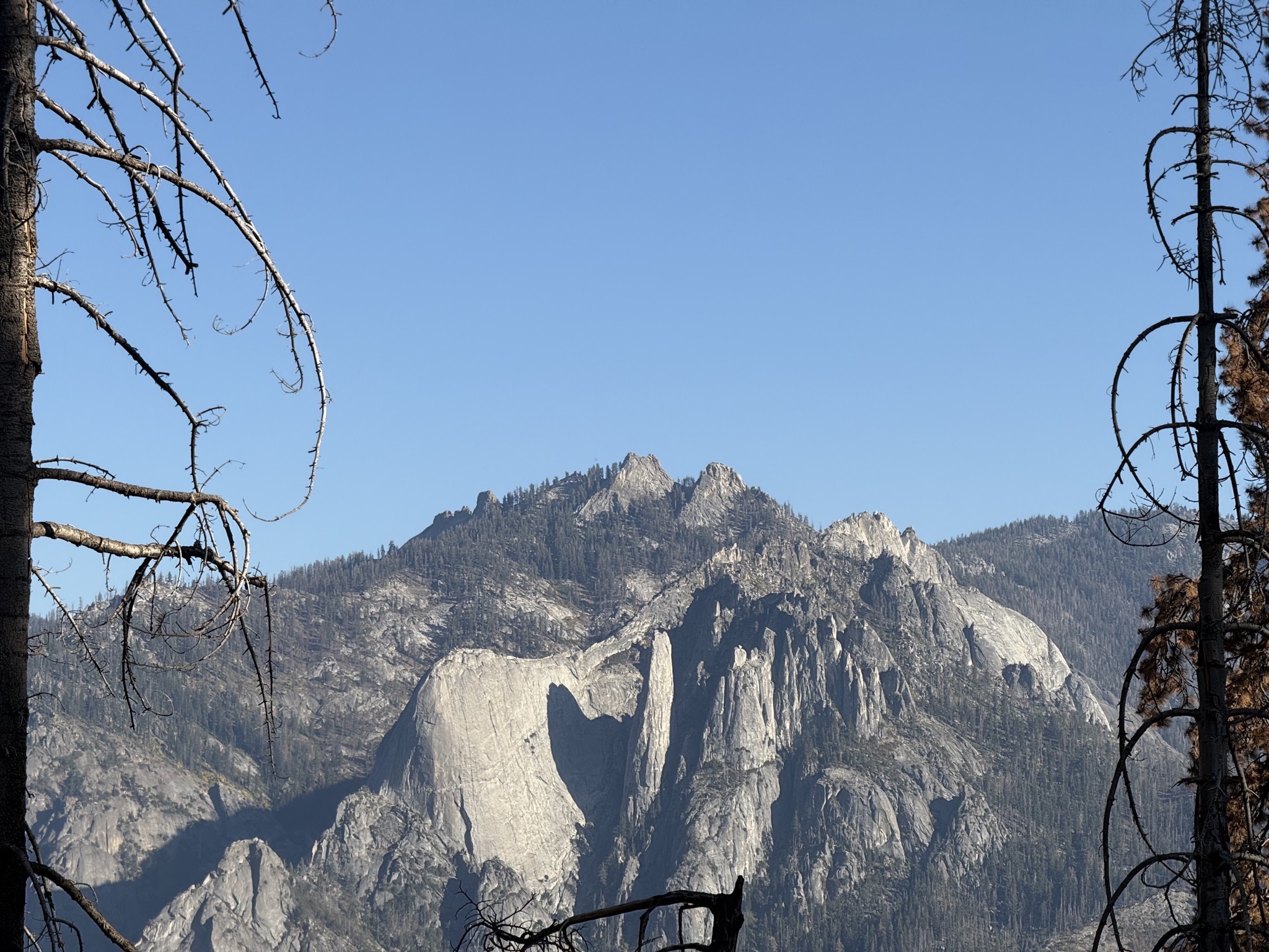 Trees and hills