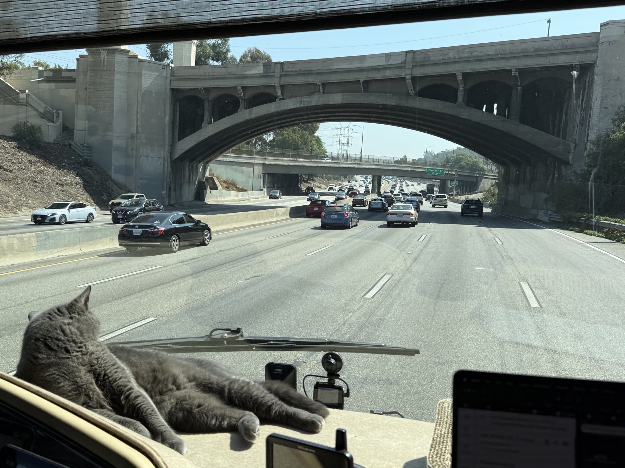 Paladin on the dash