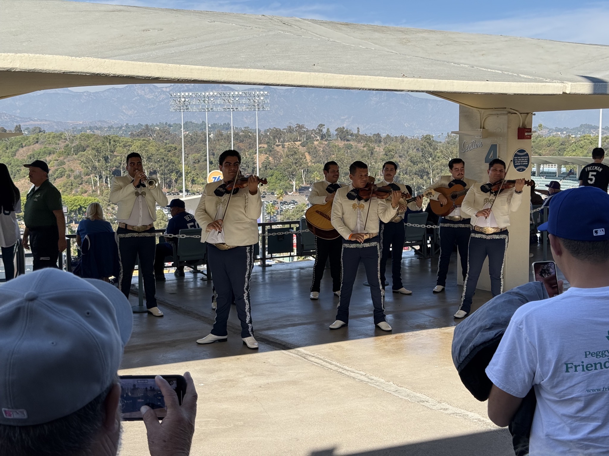 Musical entertainment