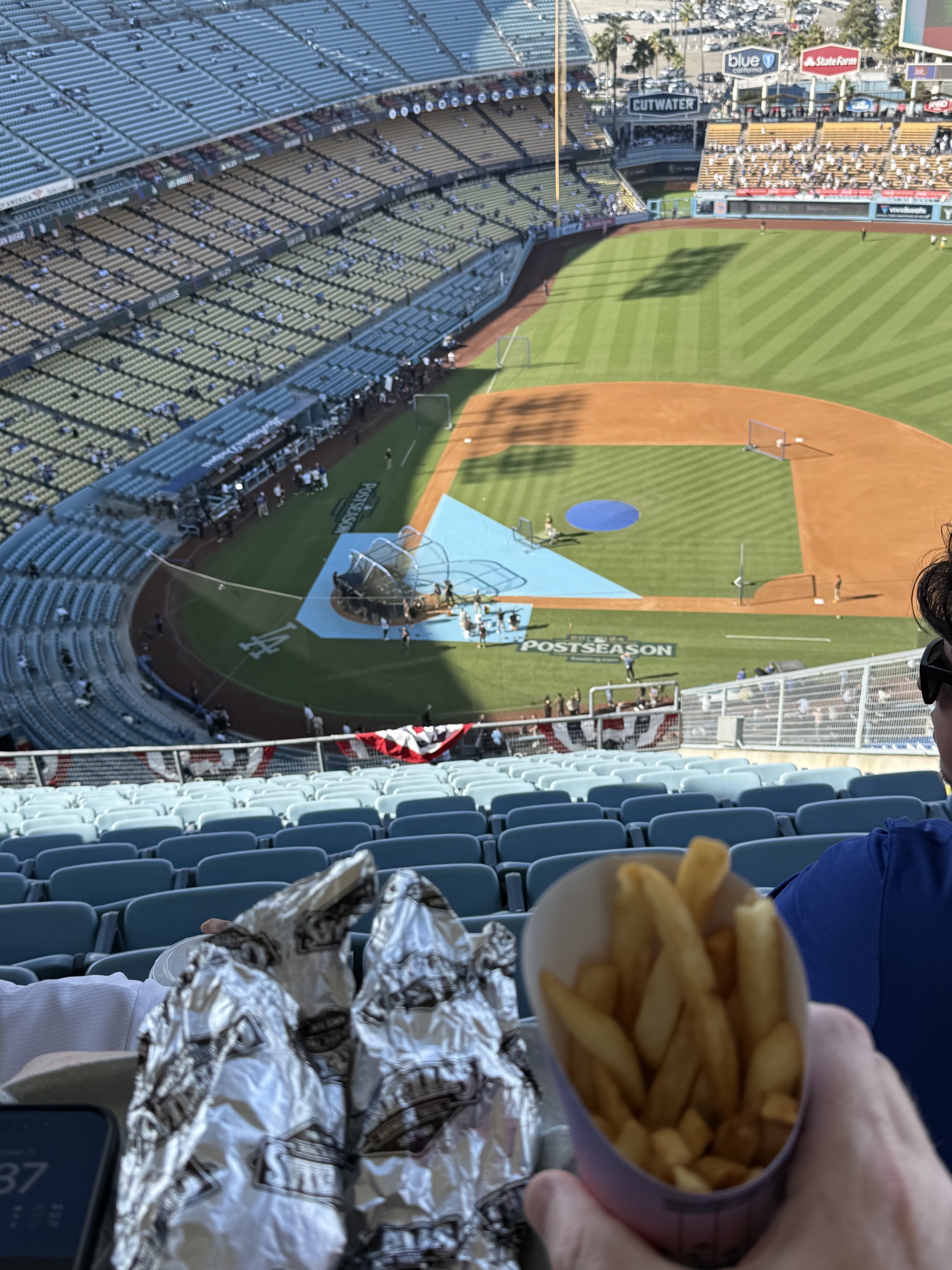 Hot dogs and fries