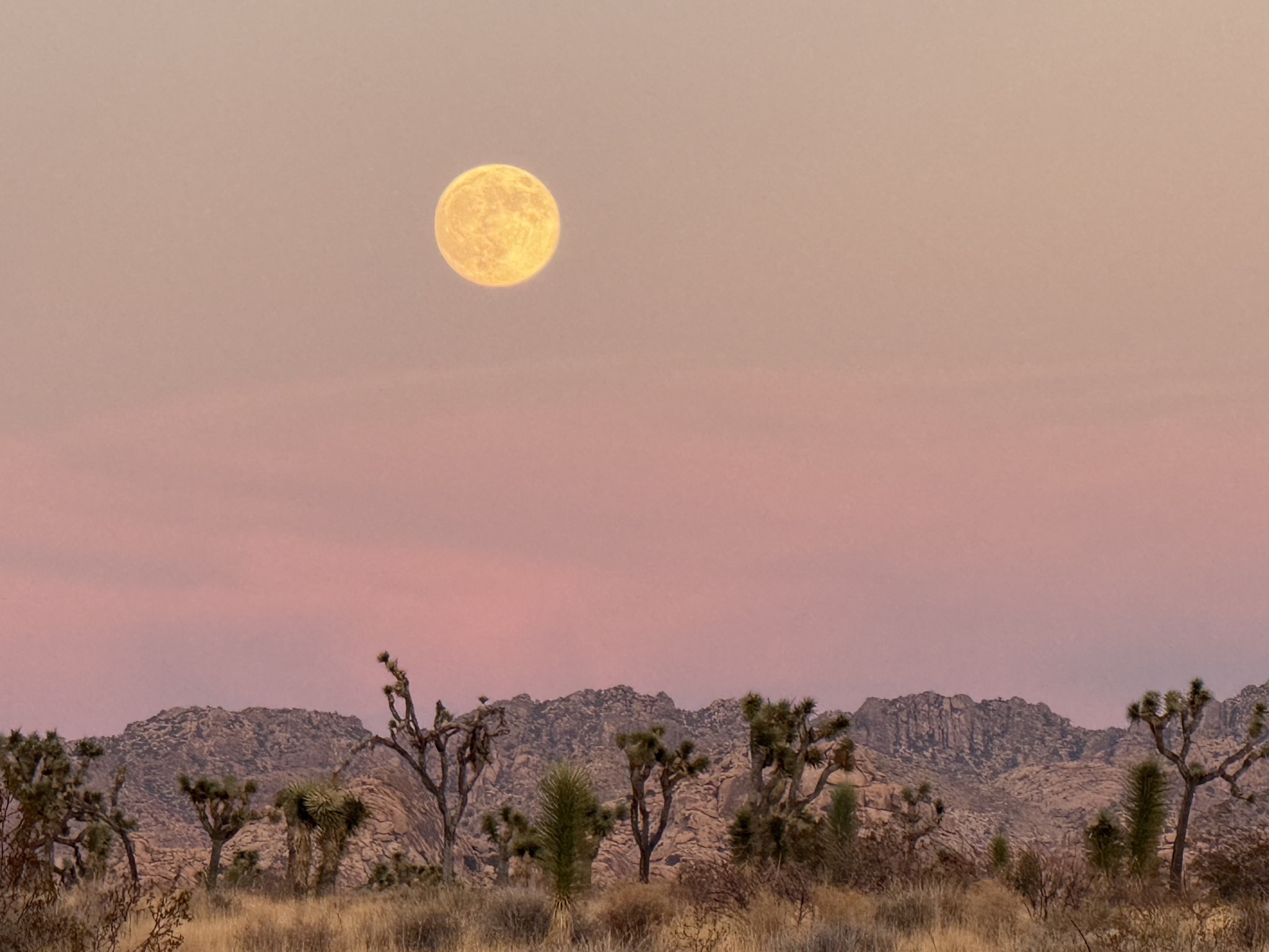 Supermoon