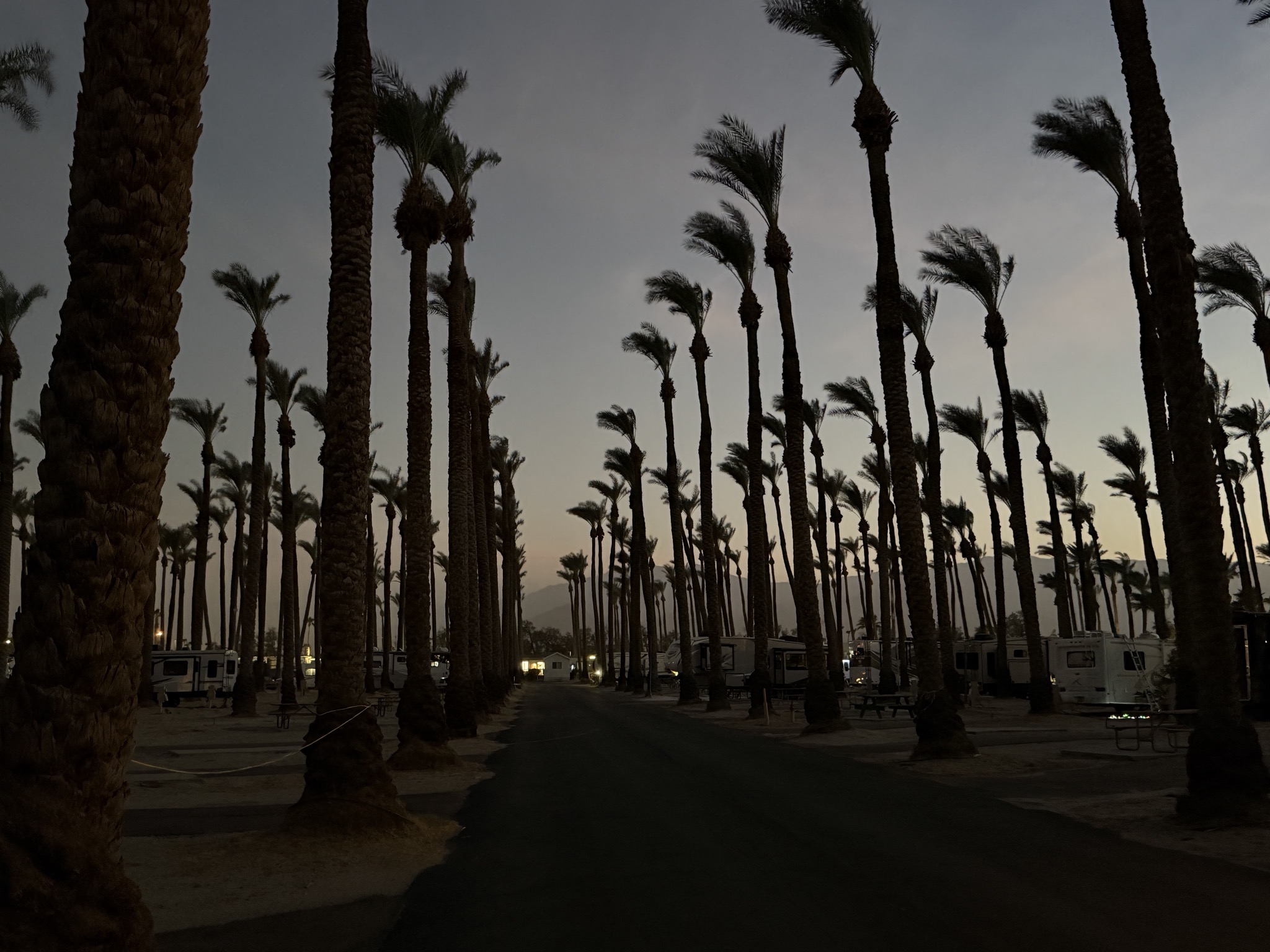 Windy sunset