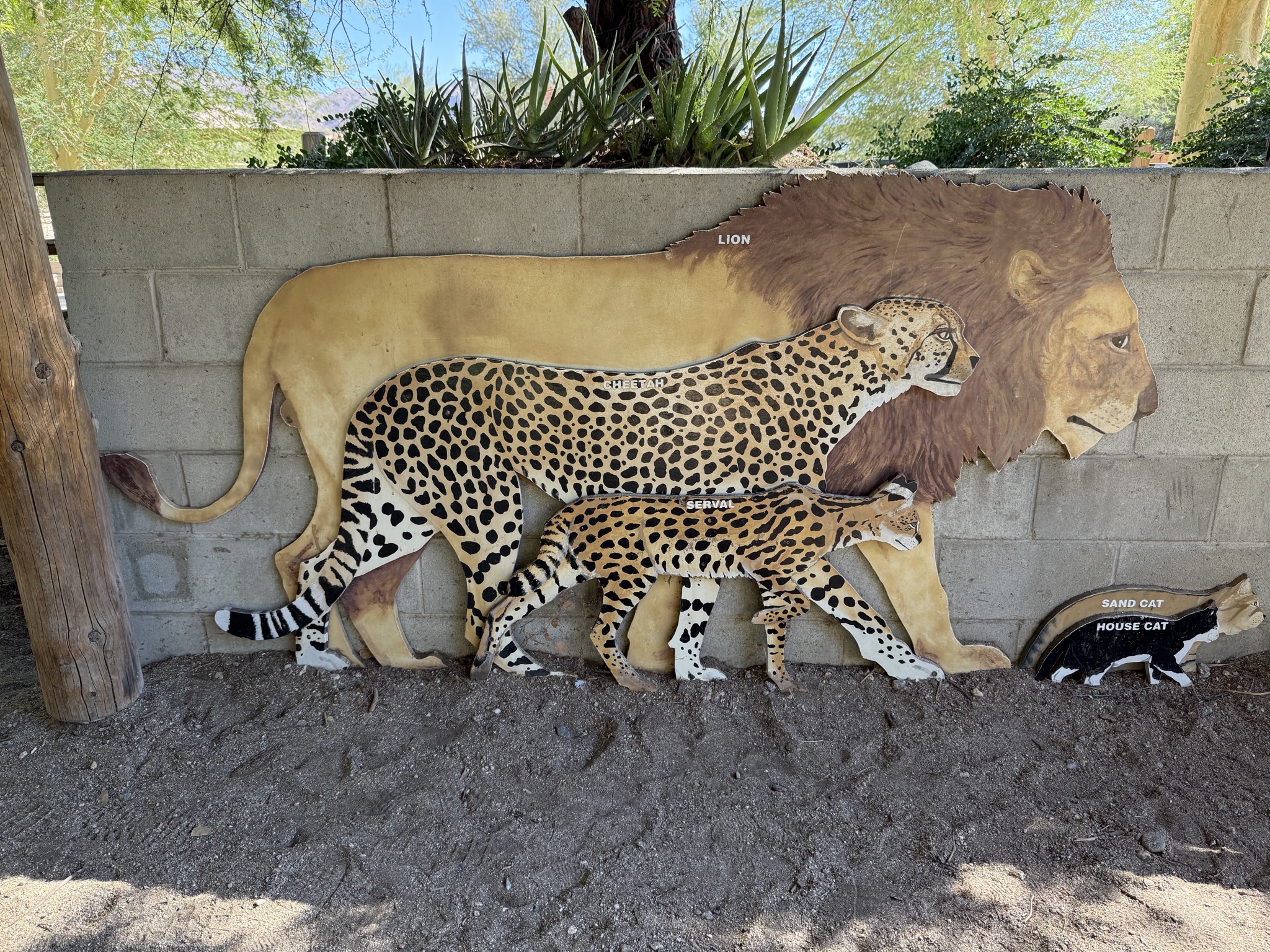 Animals