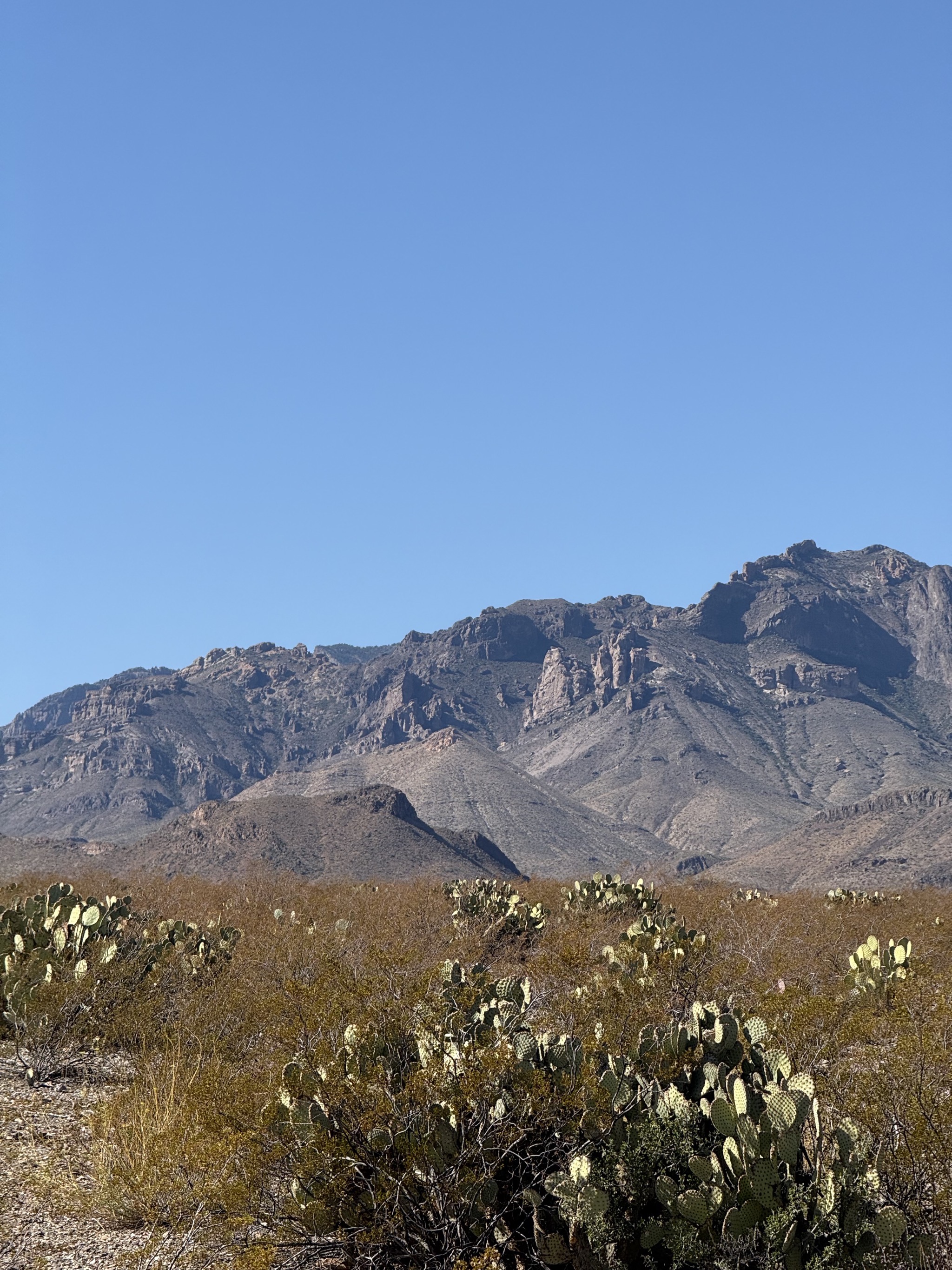 Mountains and cacti