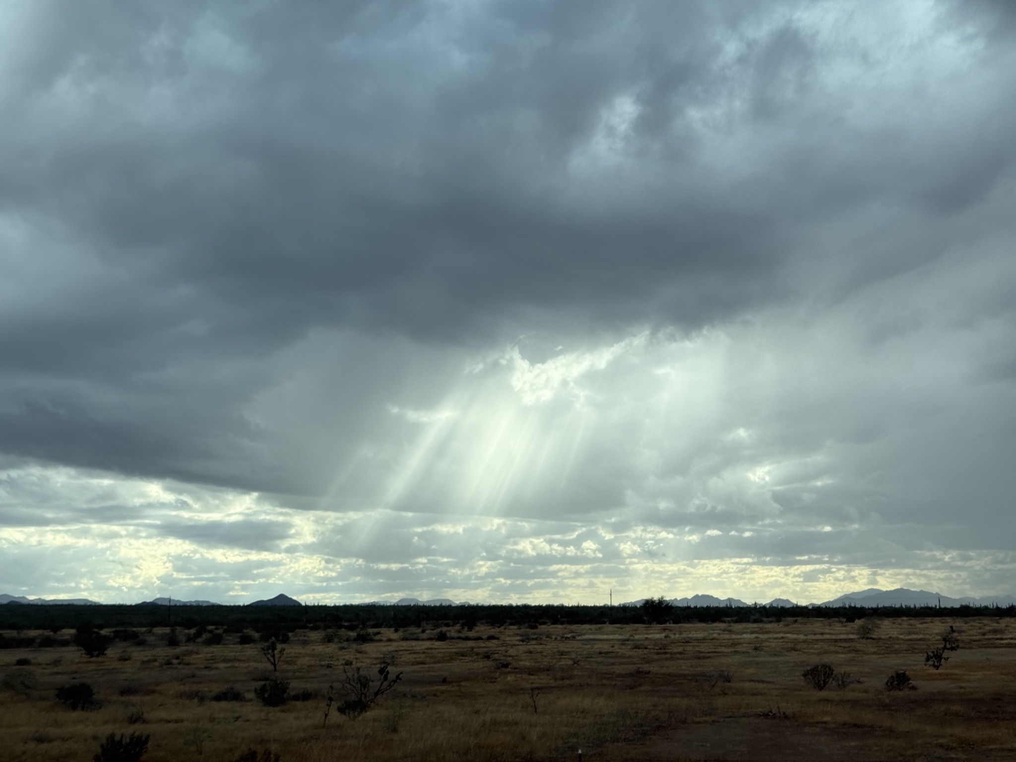 Sun rays