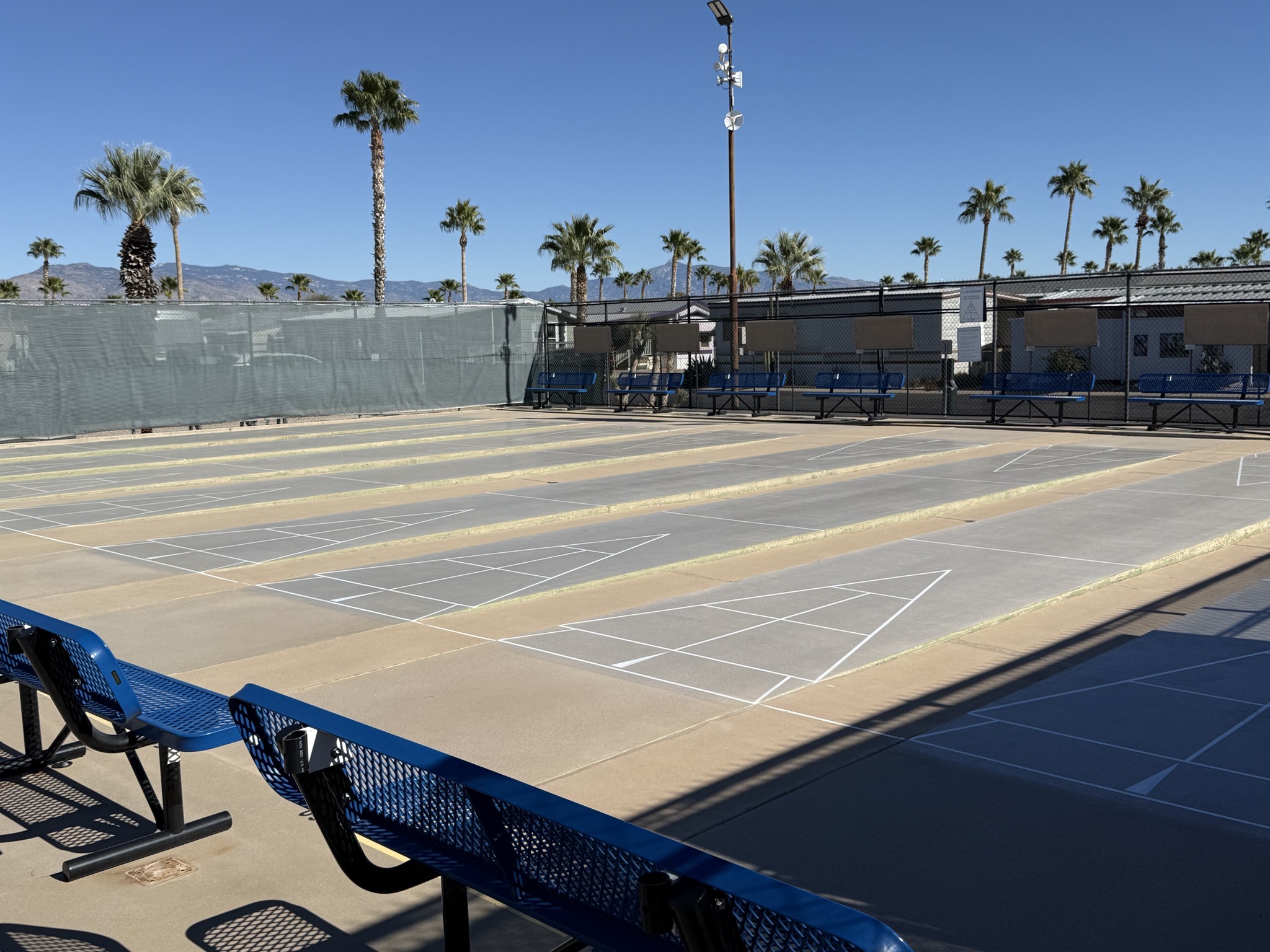 Shuffleboard