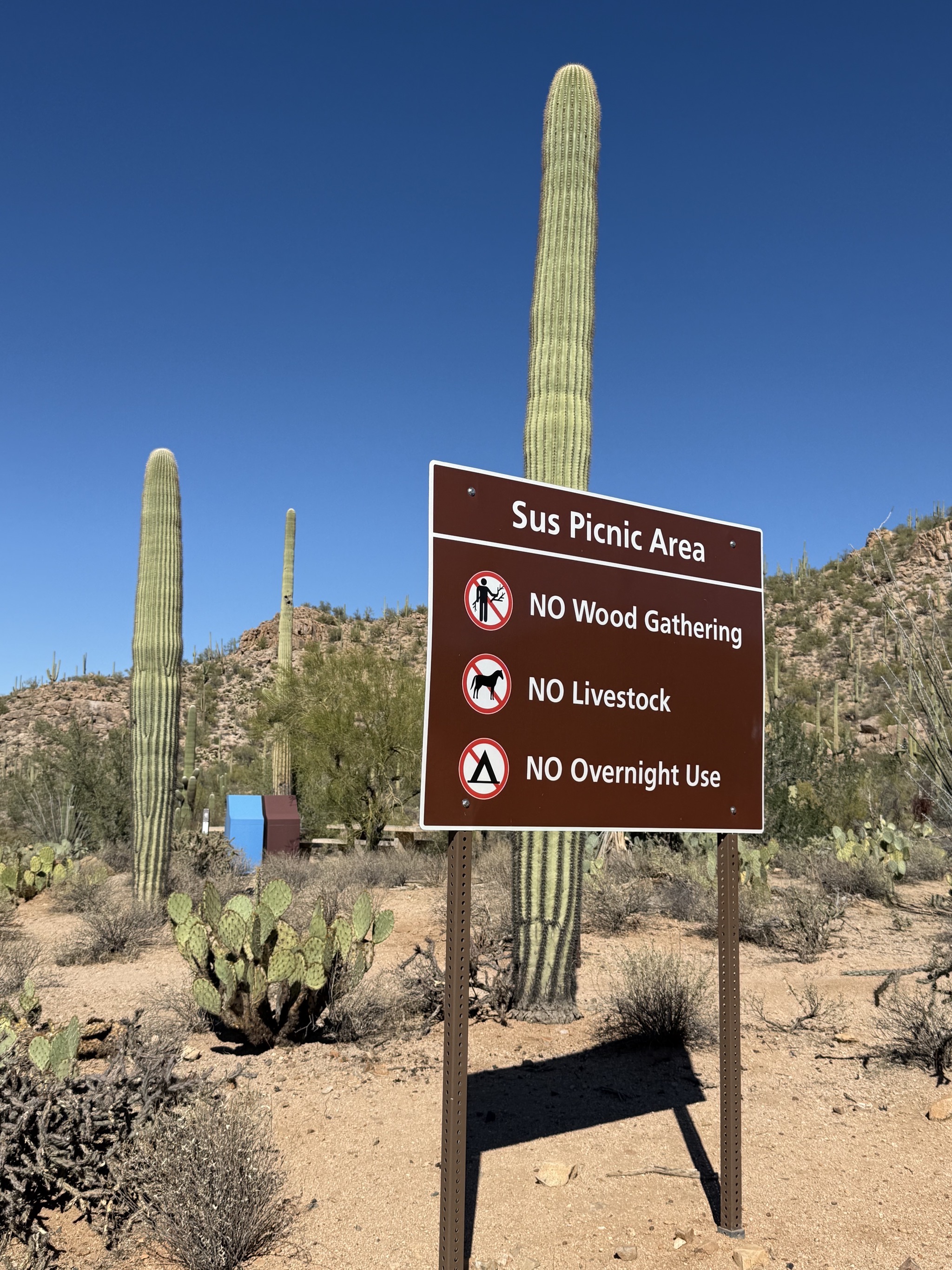 Picnic area