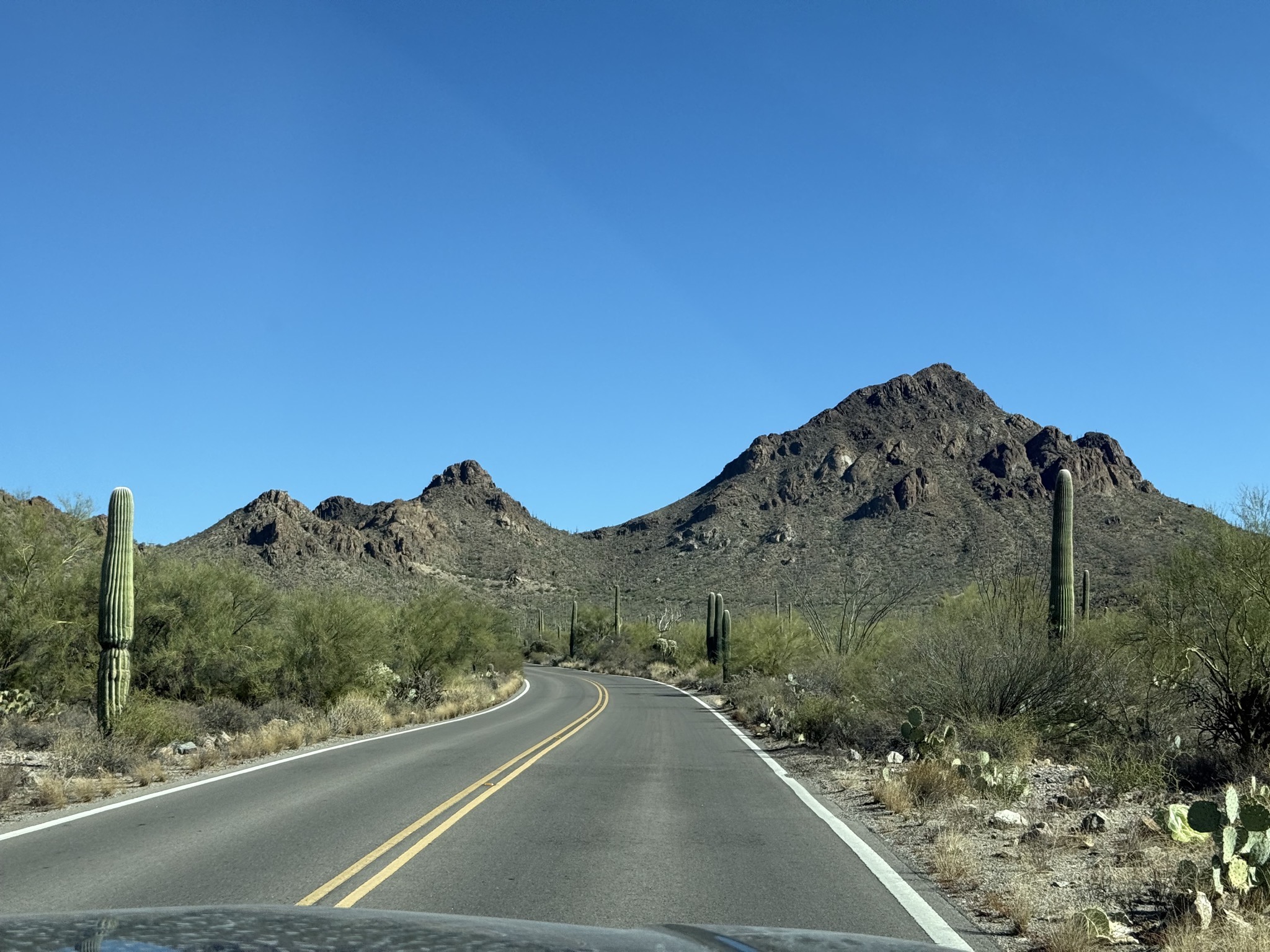 Tucson Mountain Park