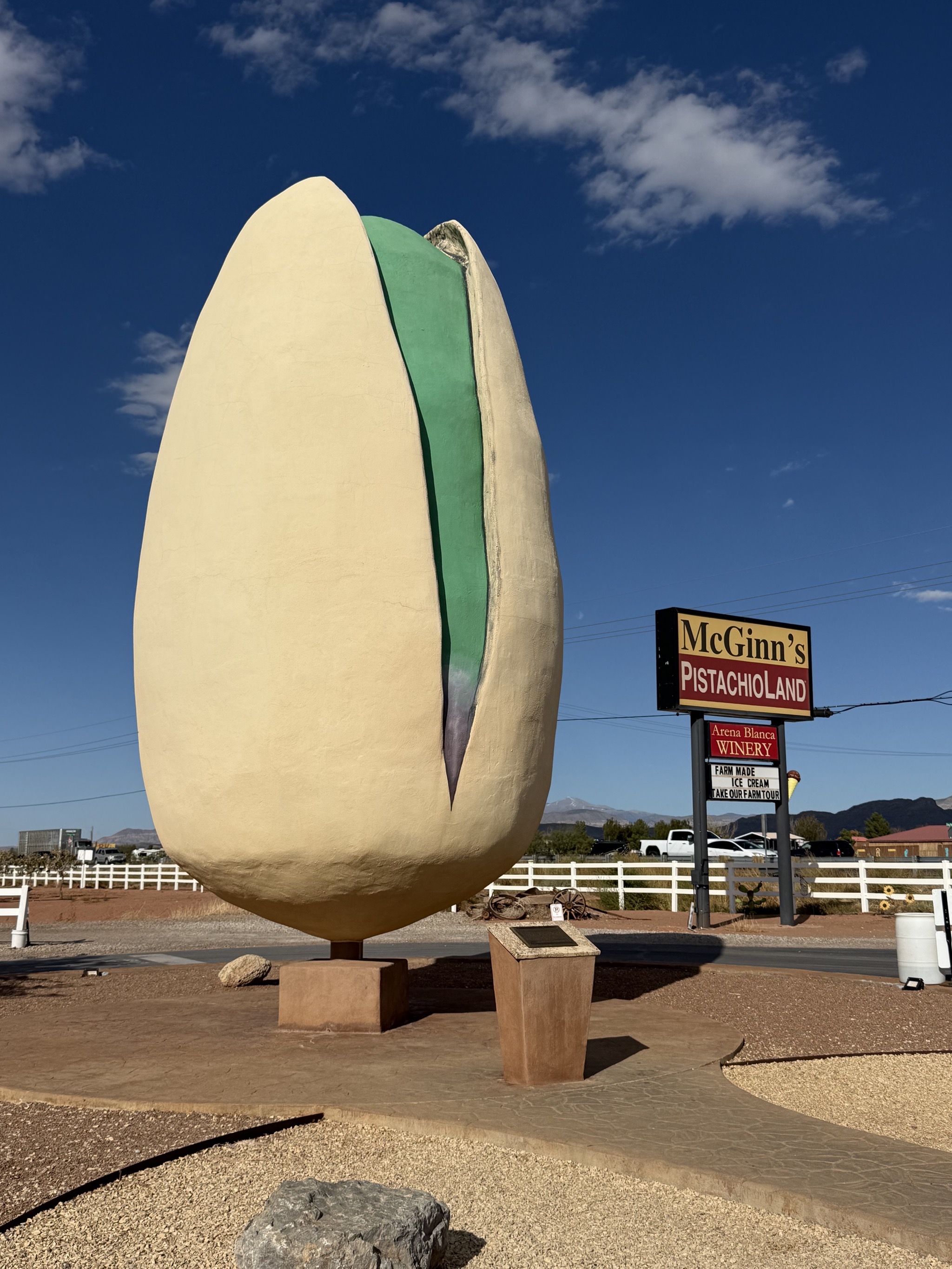 World's Largest Pistachio