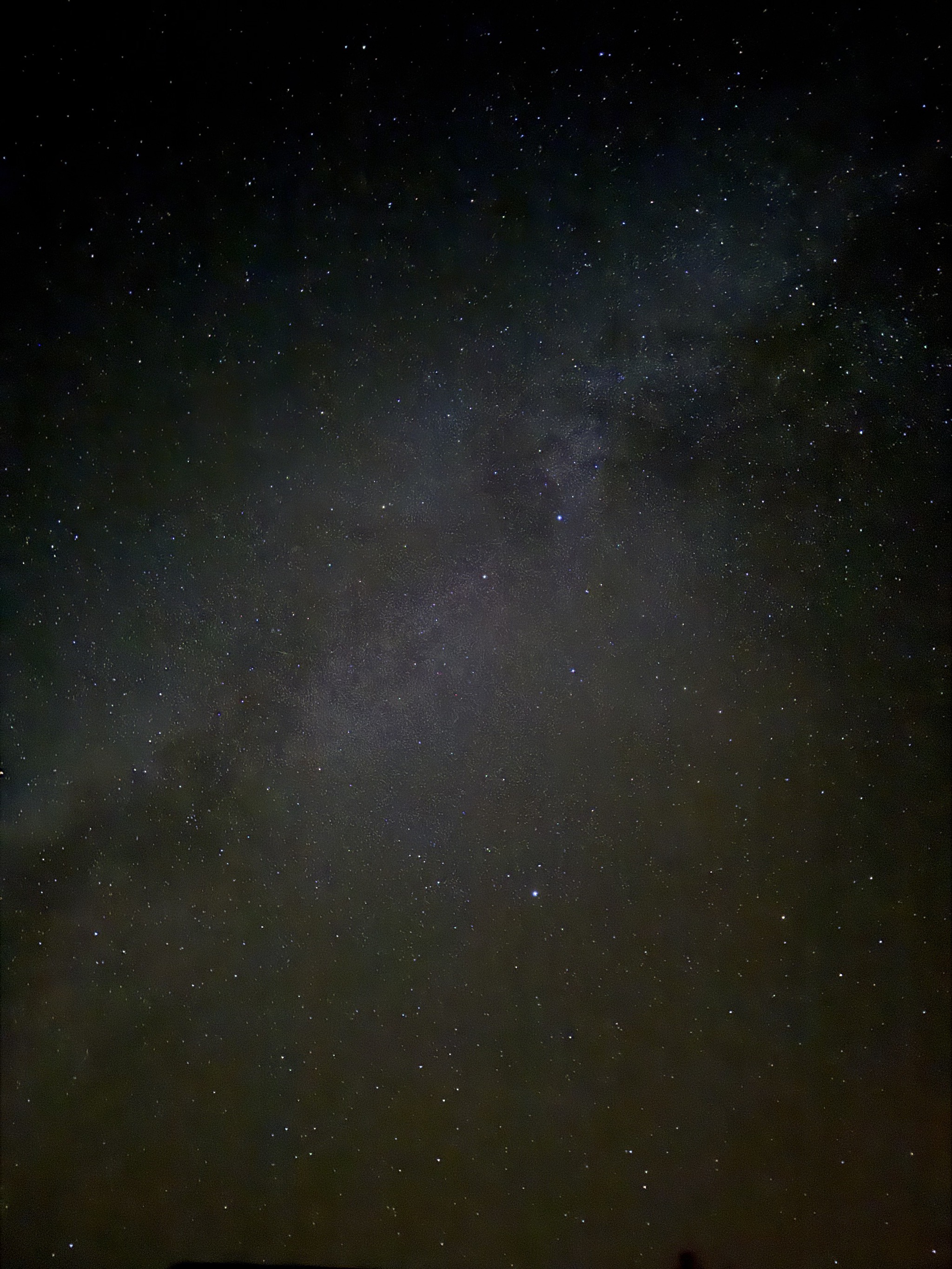 Stars