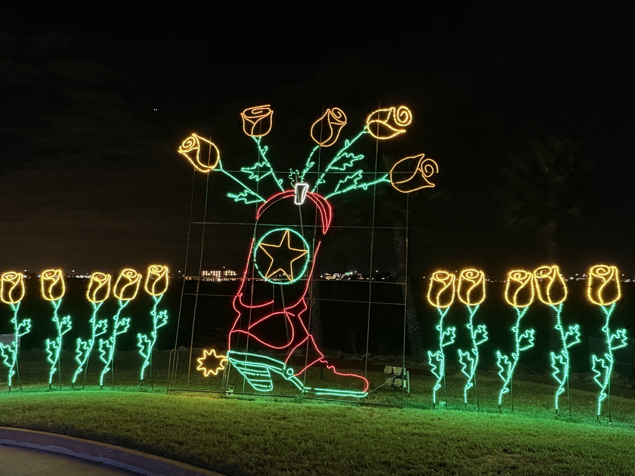 Holiday lights