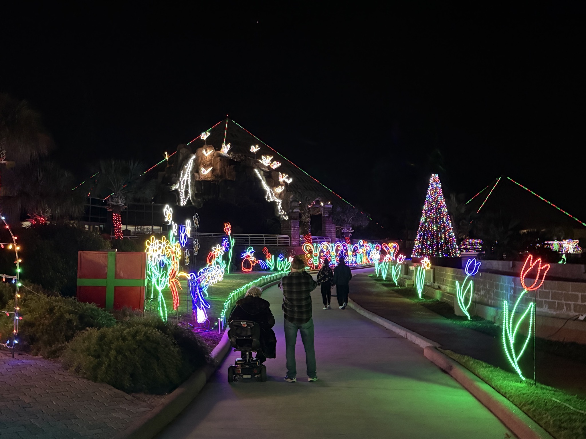 Holiday lights