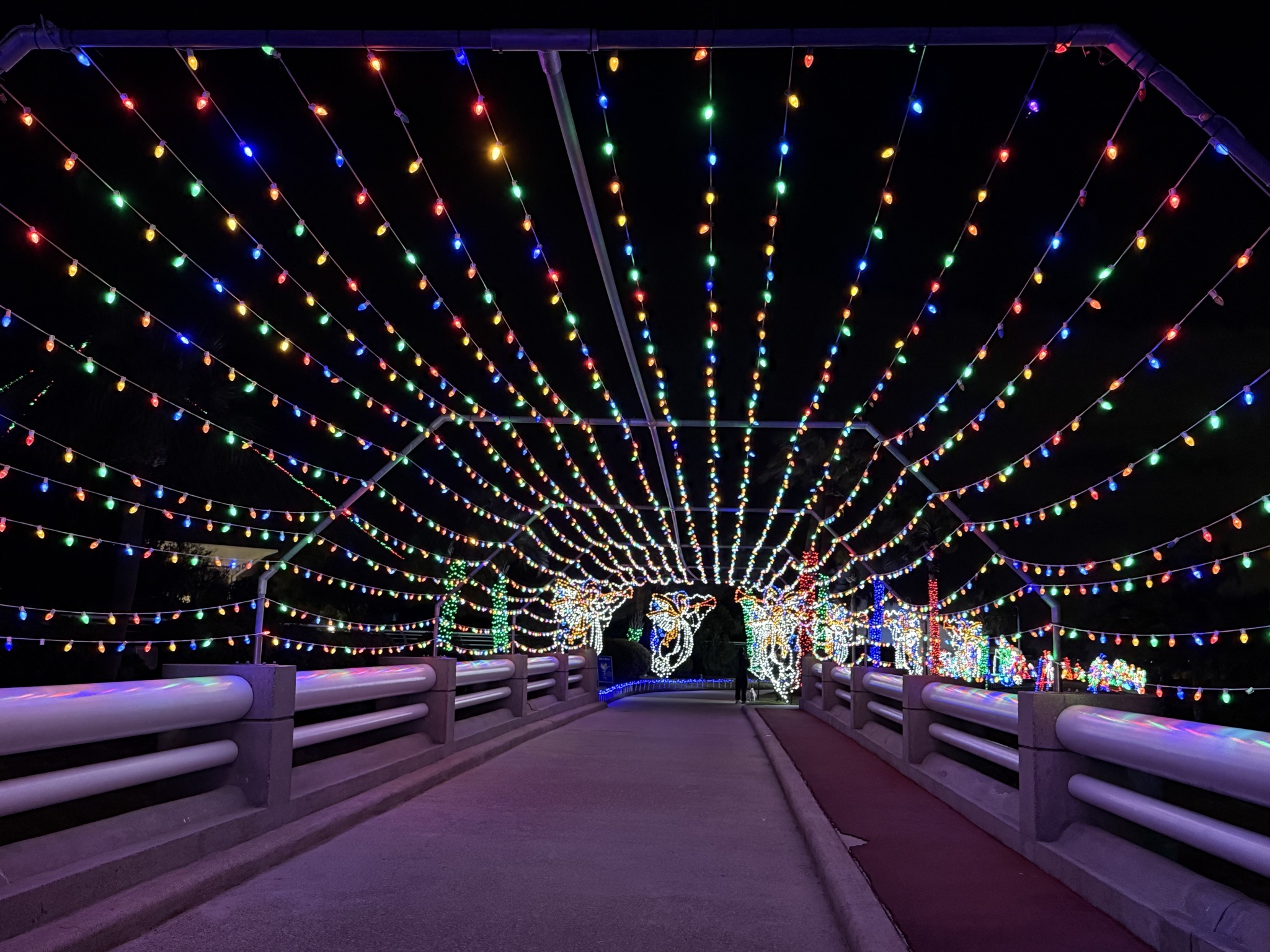 Holiday lights
