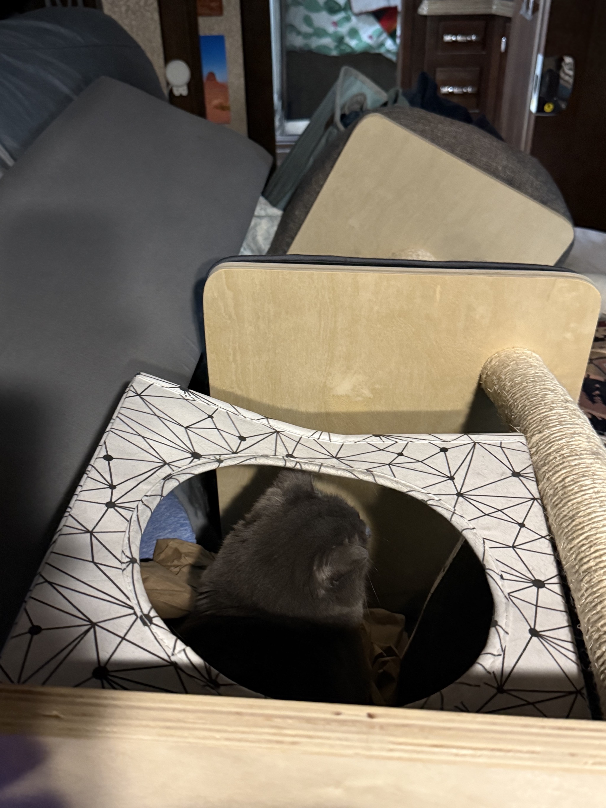 Paladin in his tower box