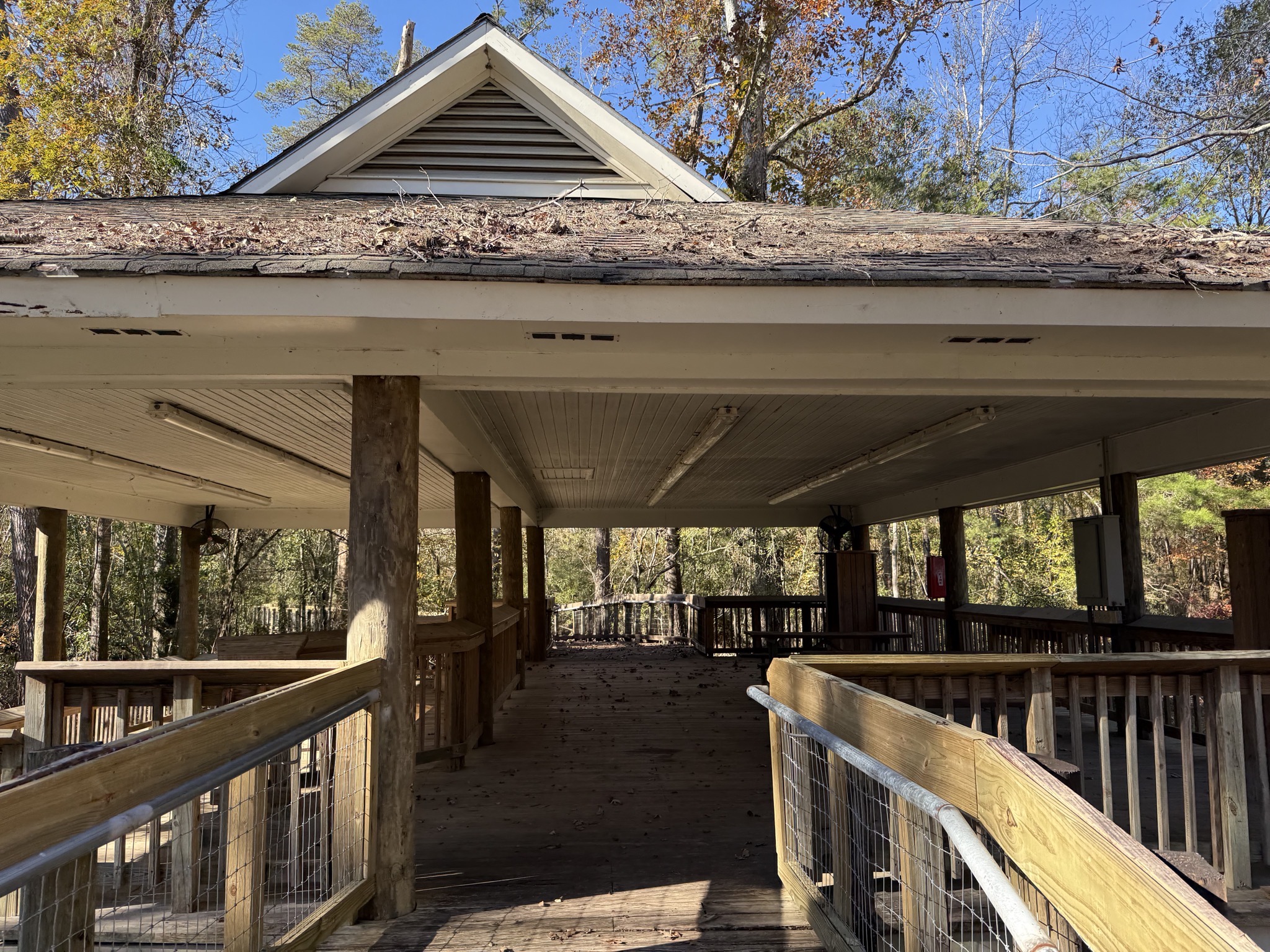 Pavilion