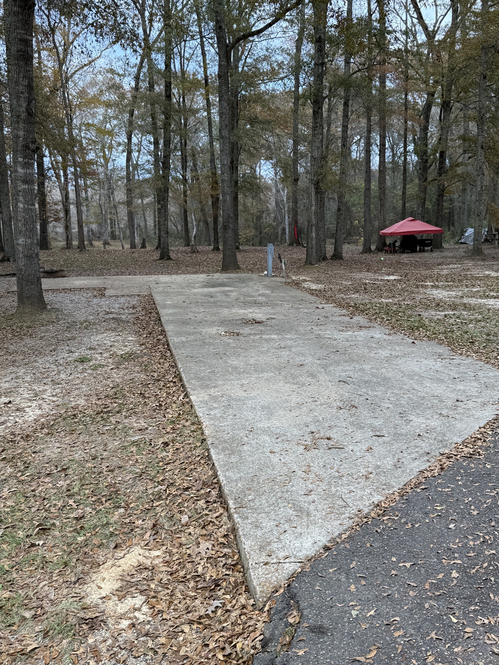 Our site