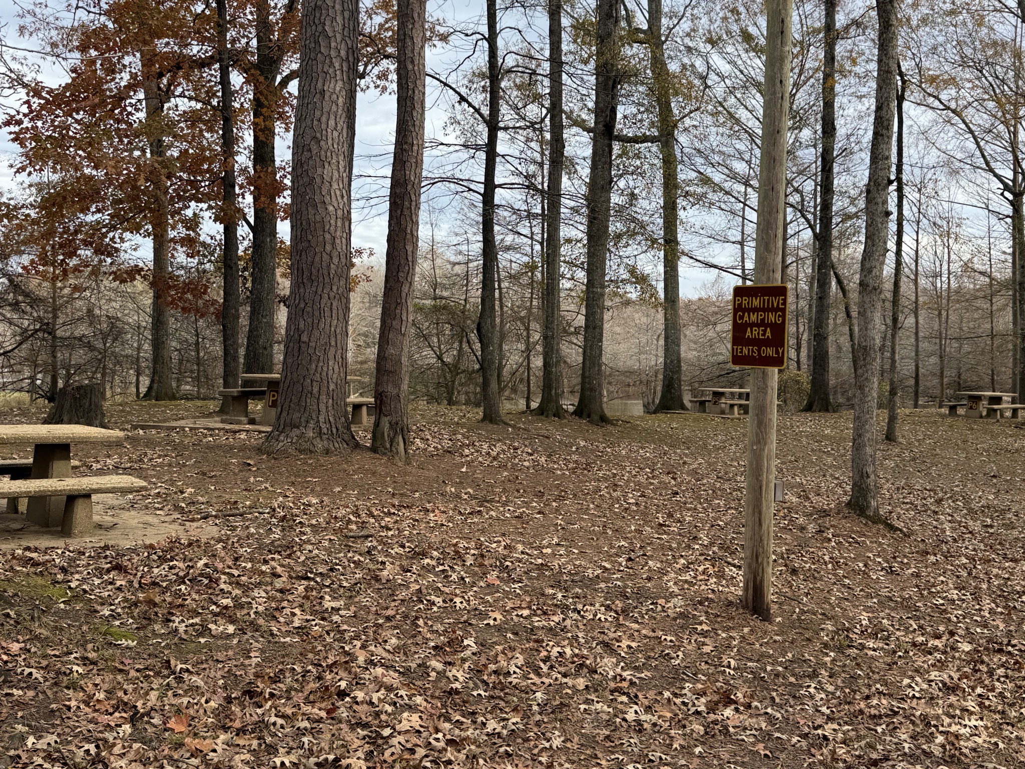 Primitive camping area