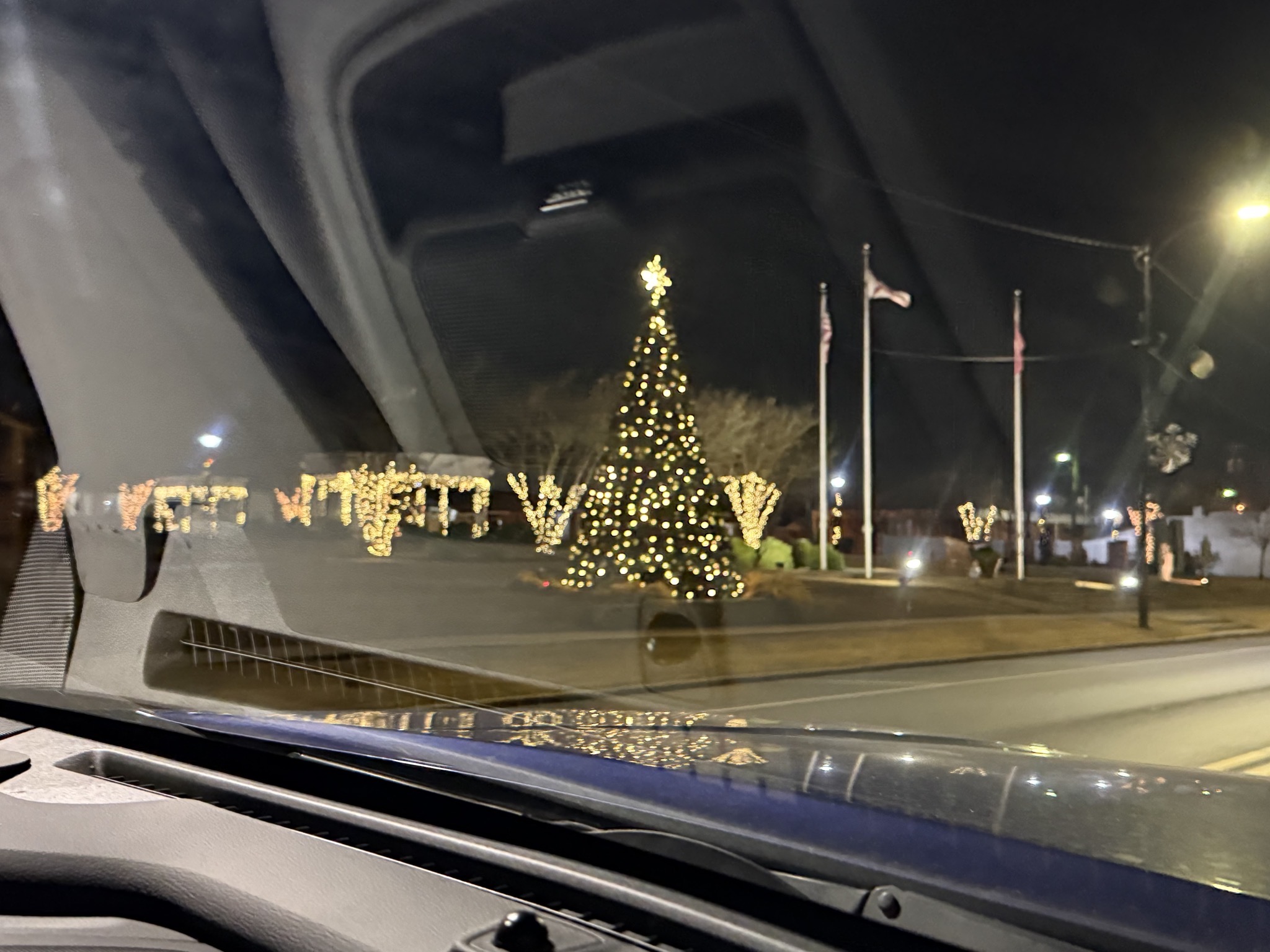 Holiday lights
