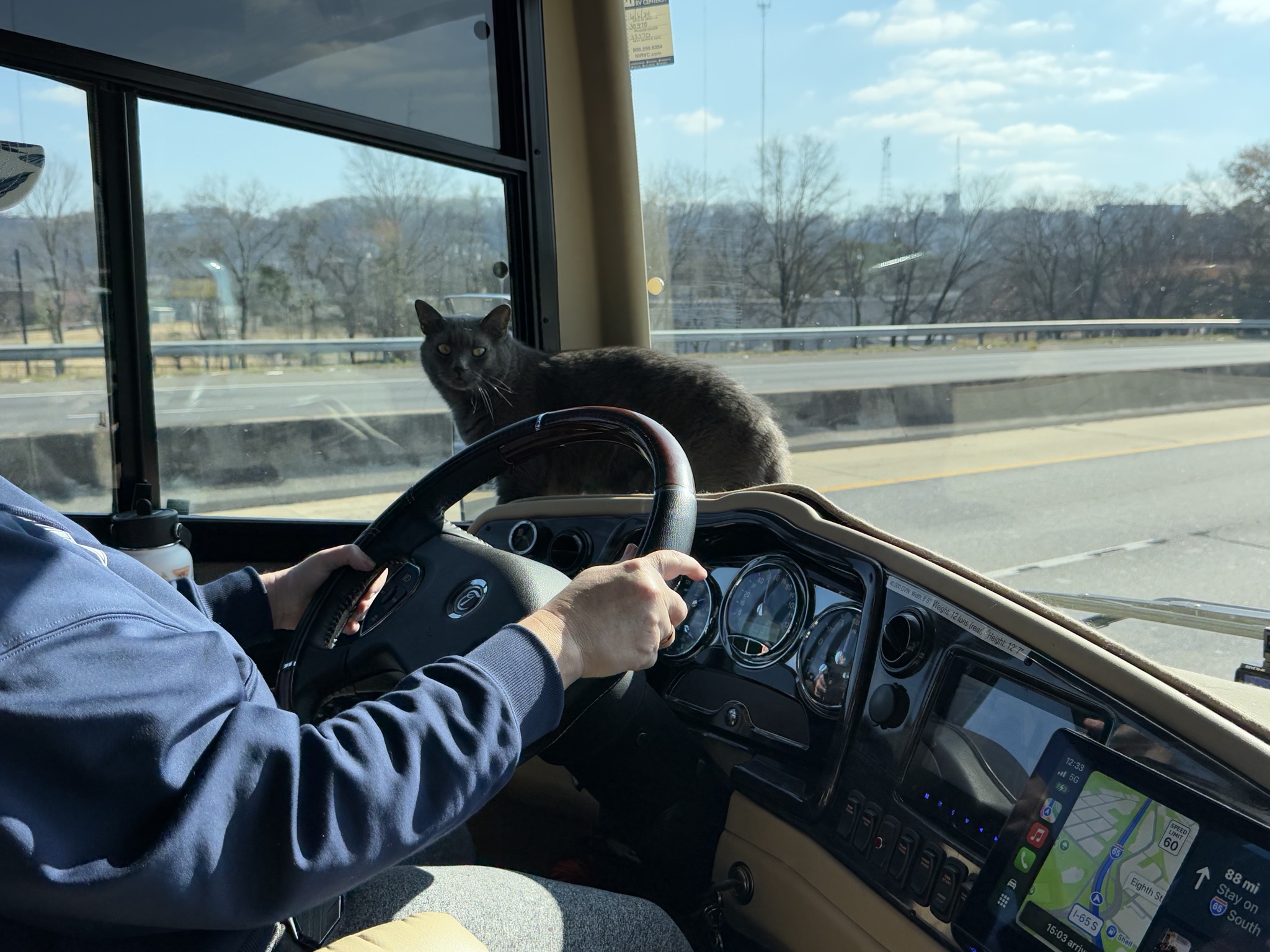 Paladin on the dash