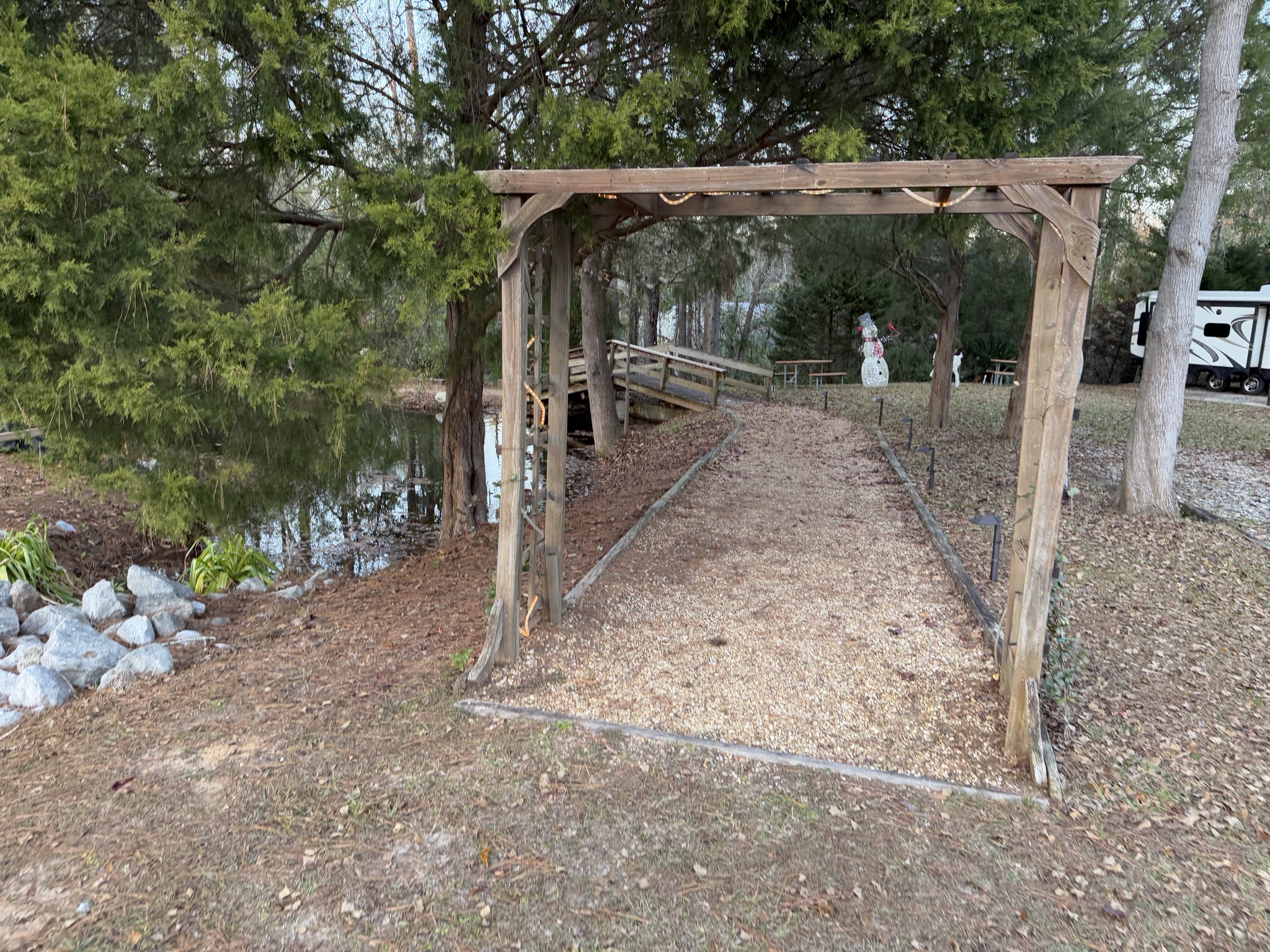 Pond