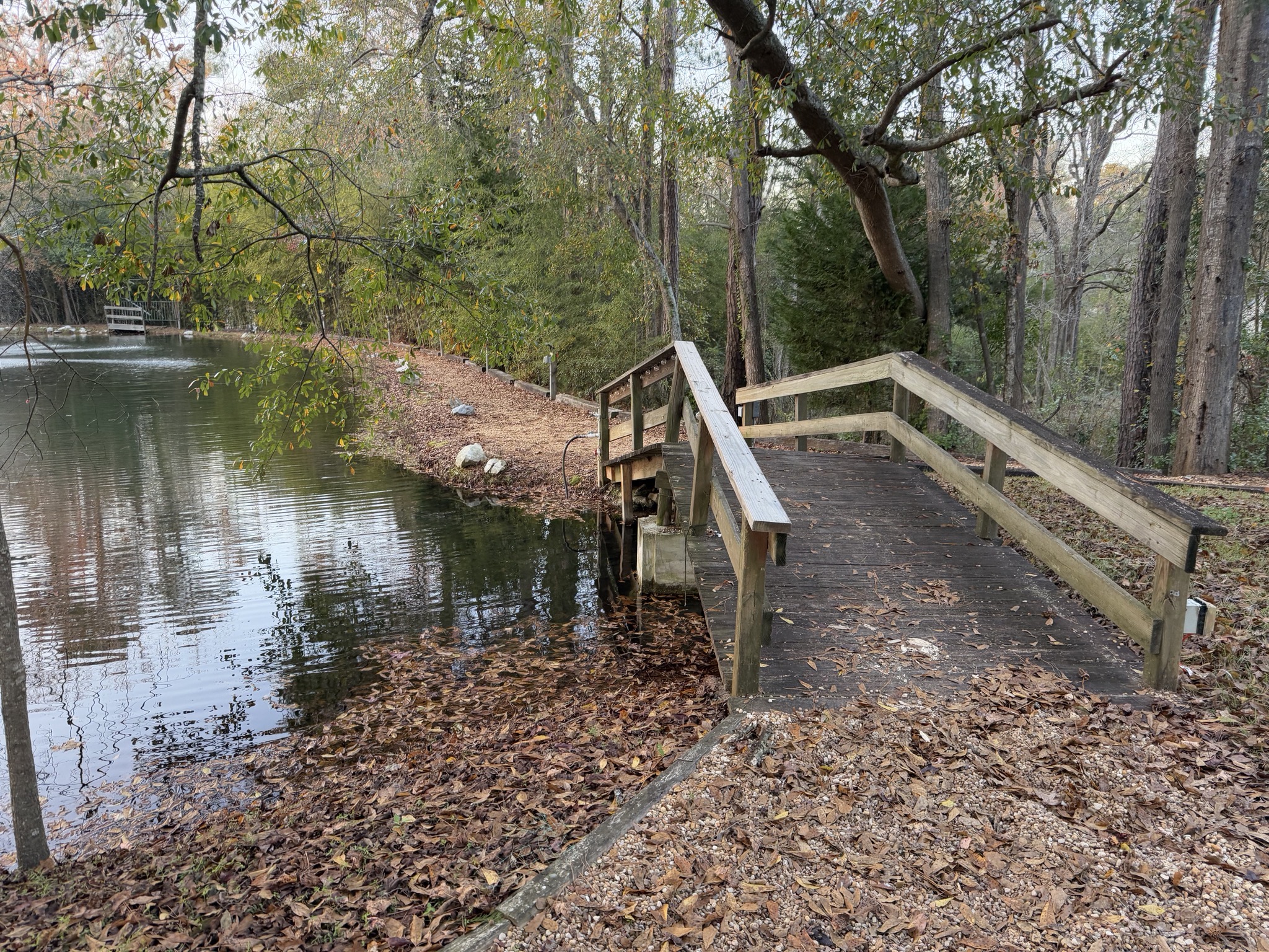 Pond
