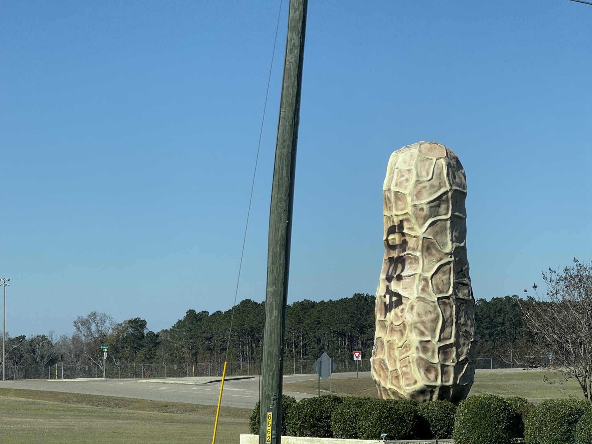 Big peanut