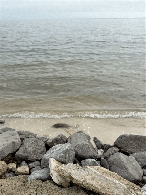 Waves