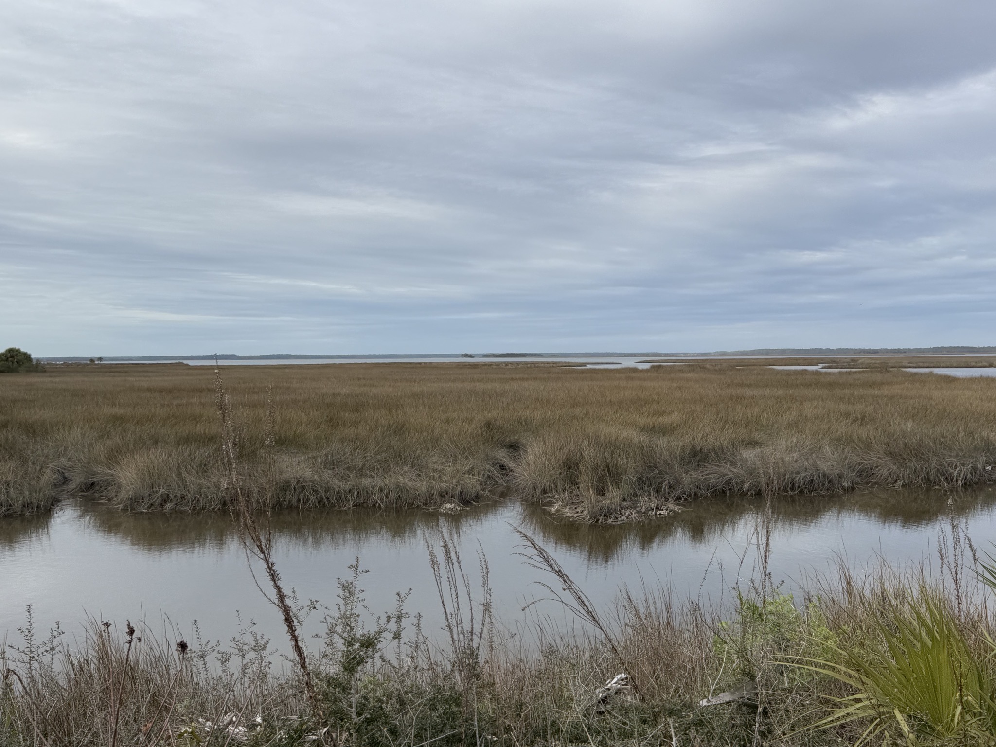 St Marks National Wildlife Refuge