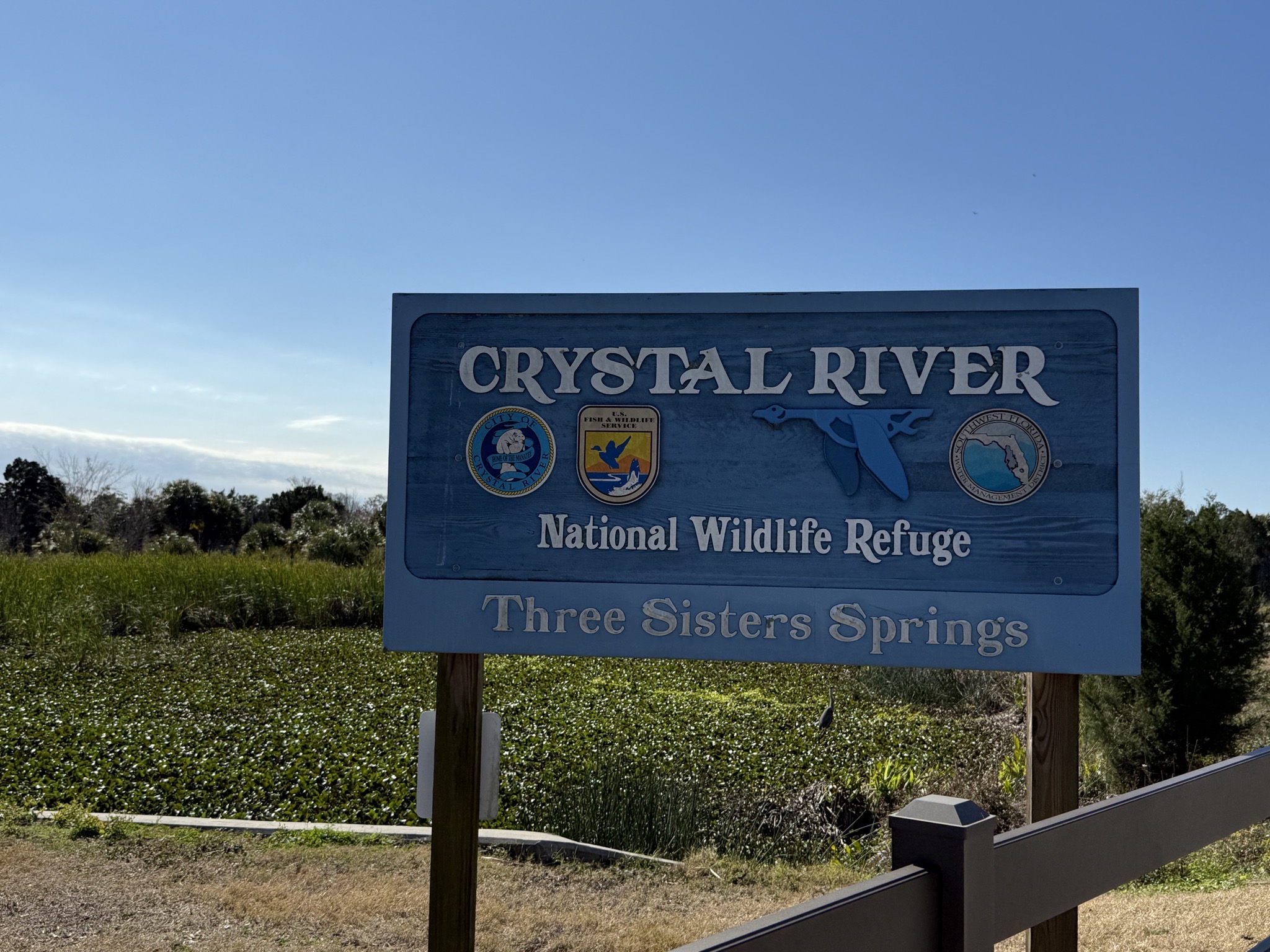 Crystal River Three Sisters Springs