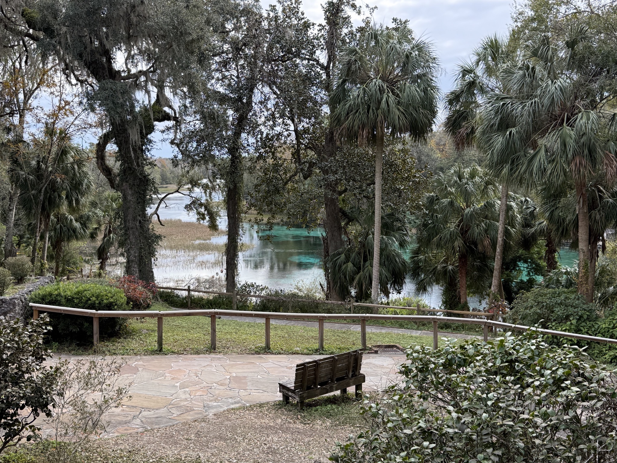 Paths and the spring