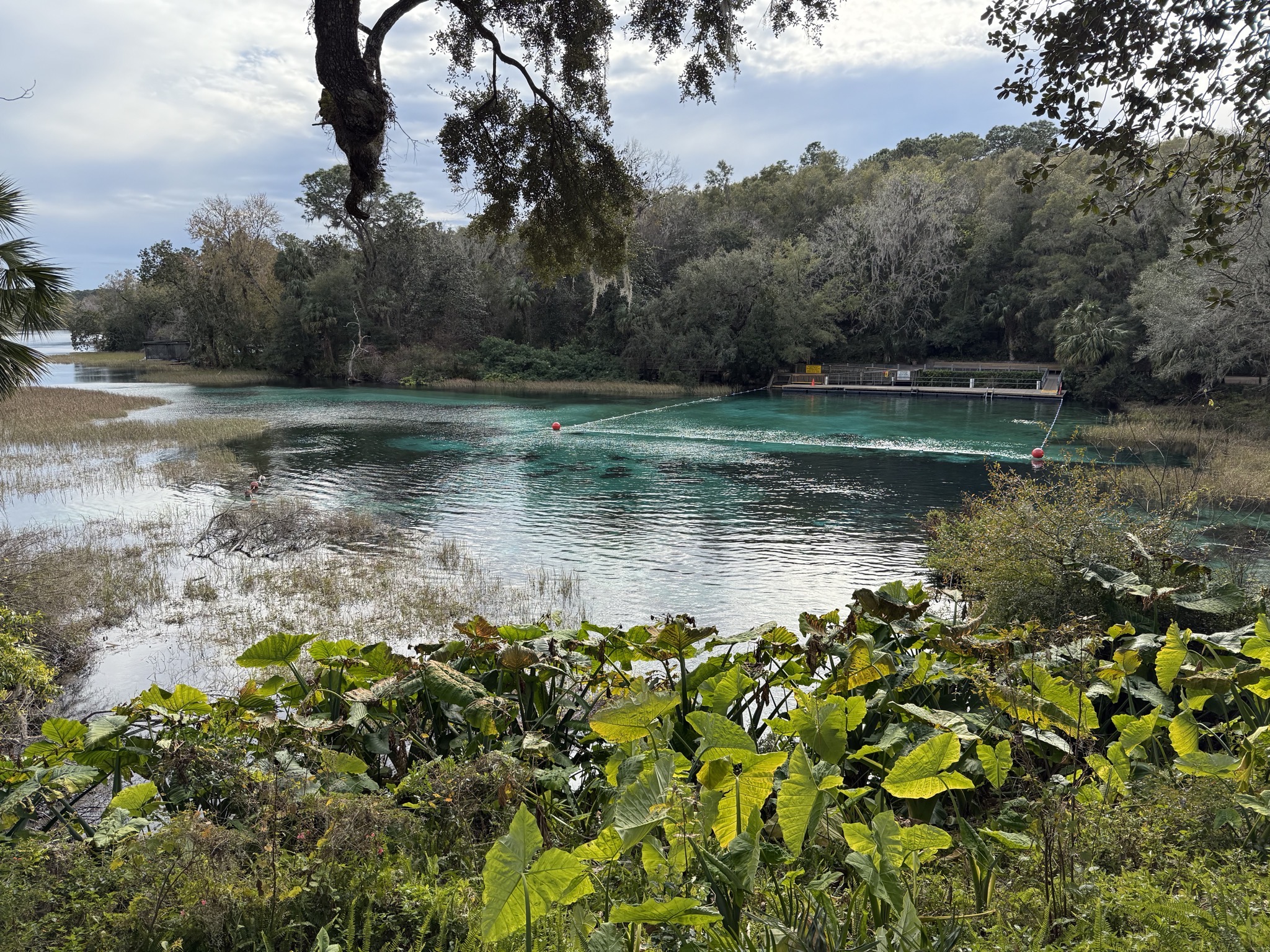 Swimming area from other side