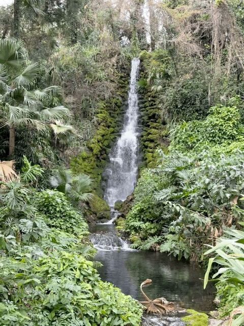 Waterfall