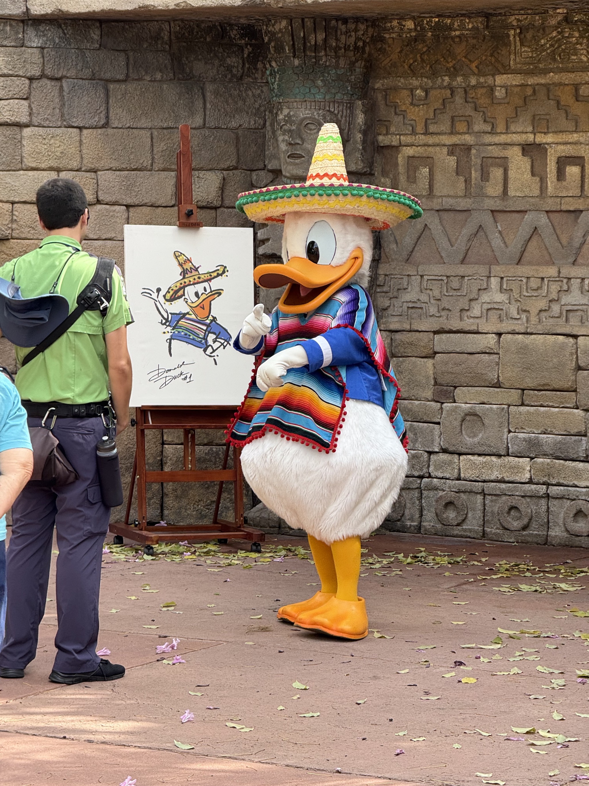 Mexican duck