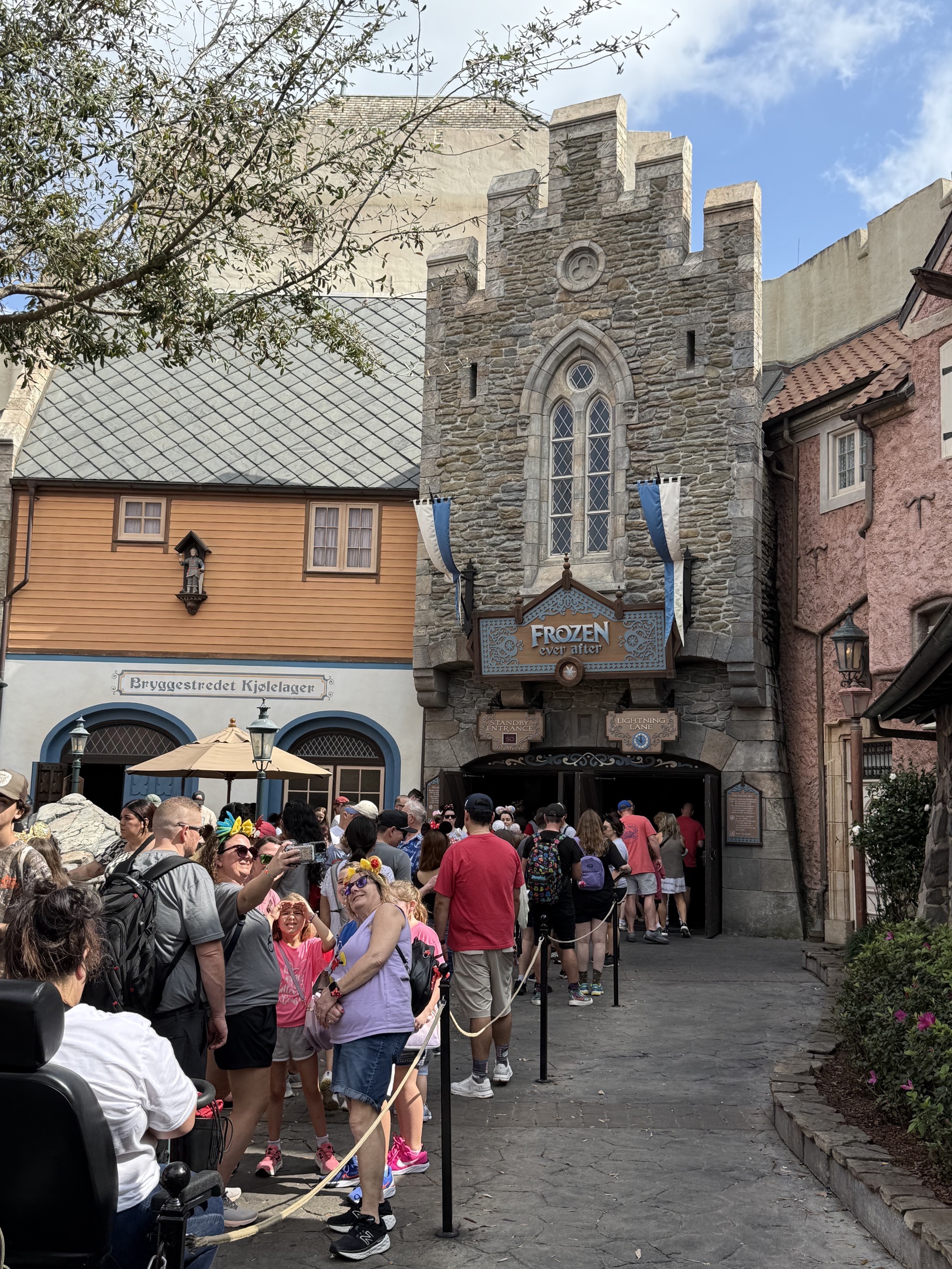 Frozen ride