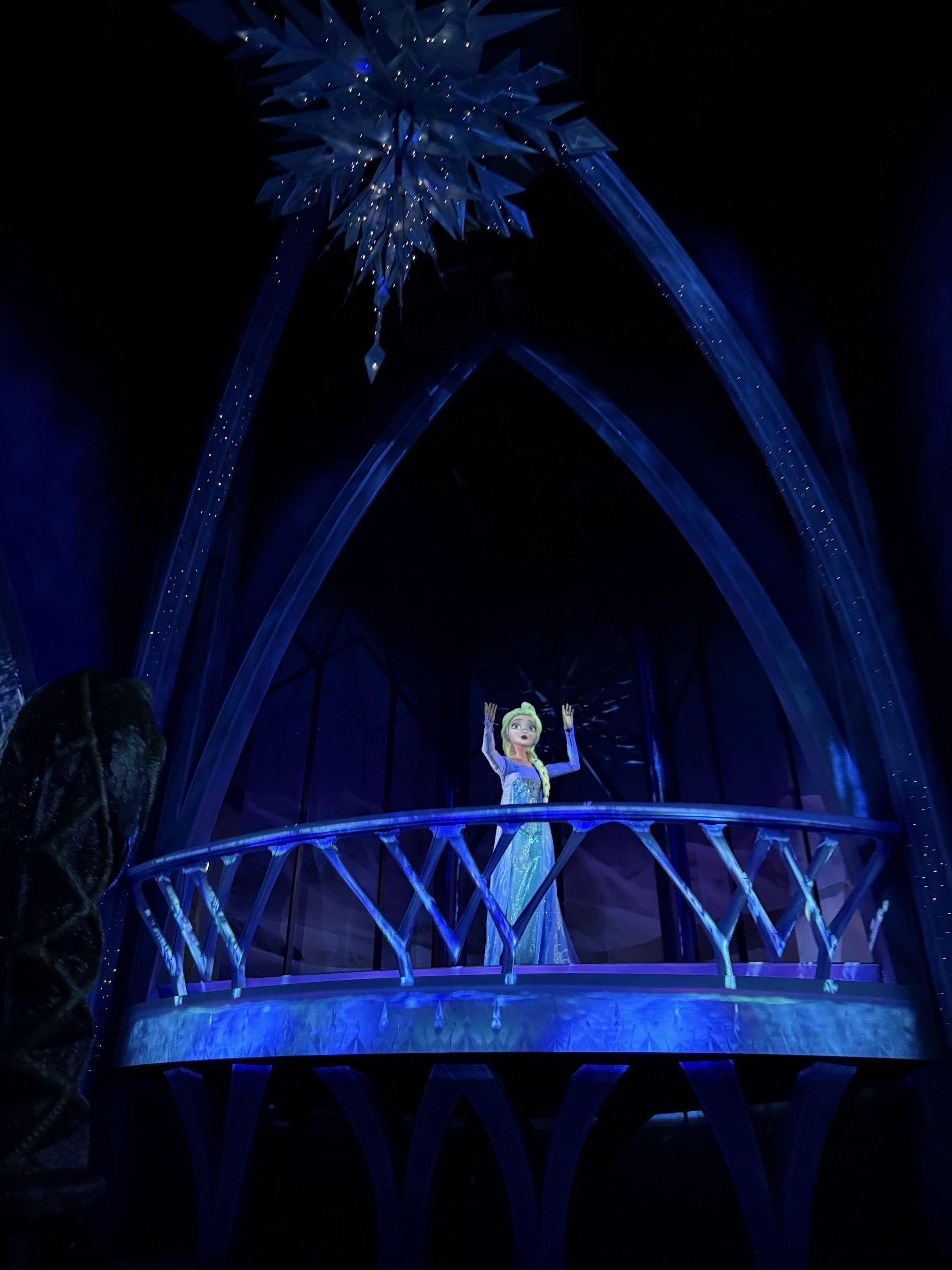 Frozen ride