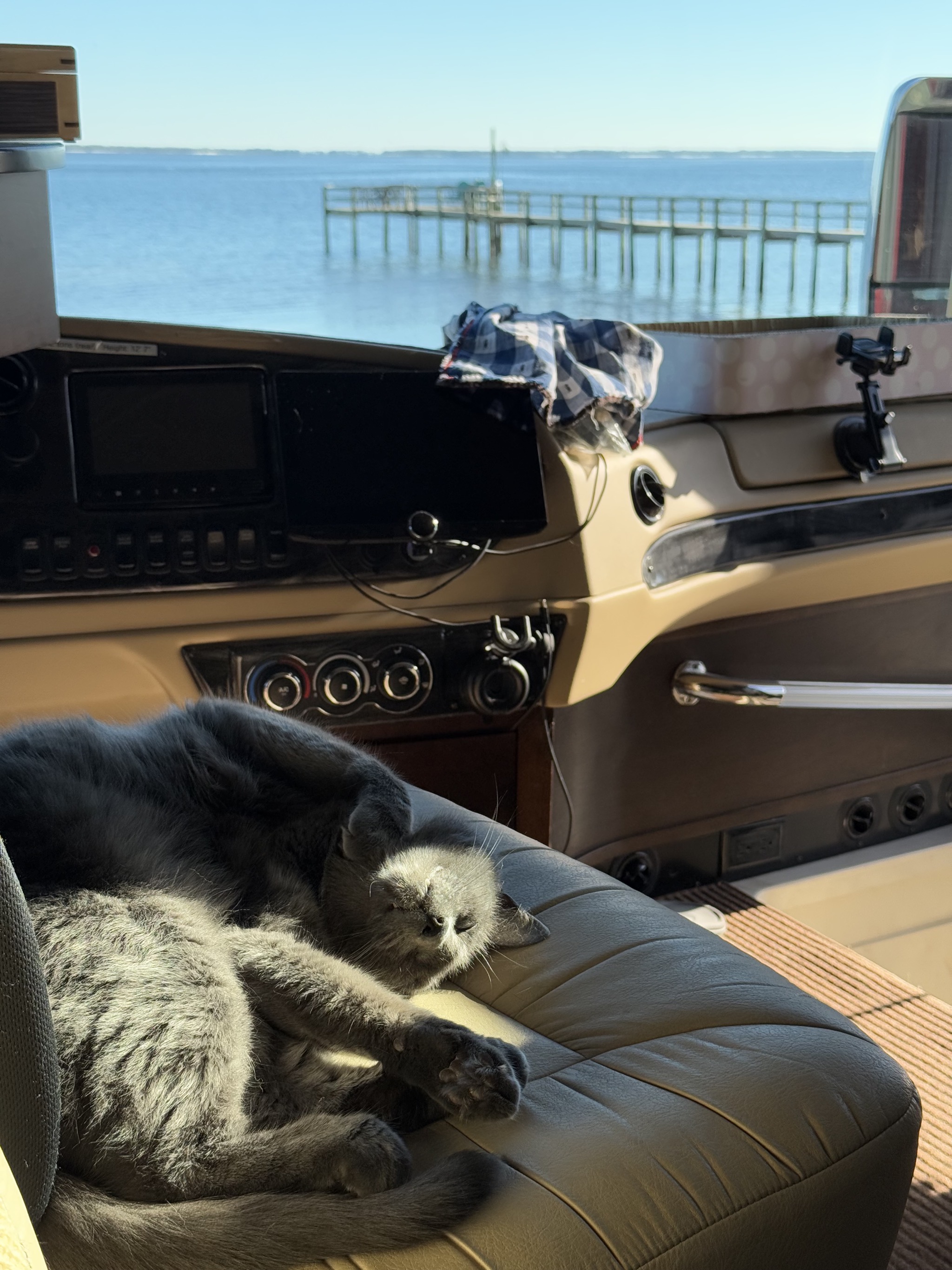 Paladin and water view