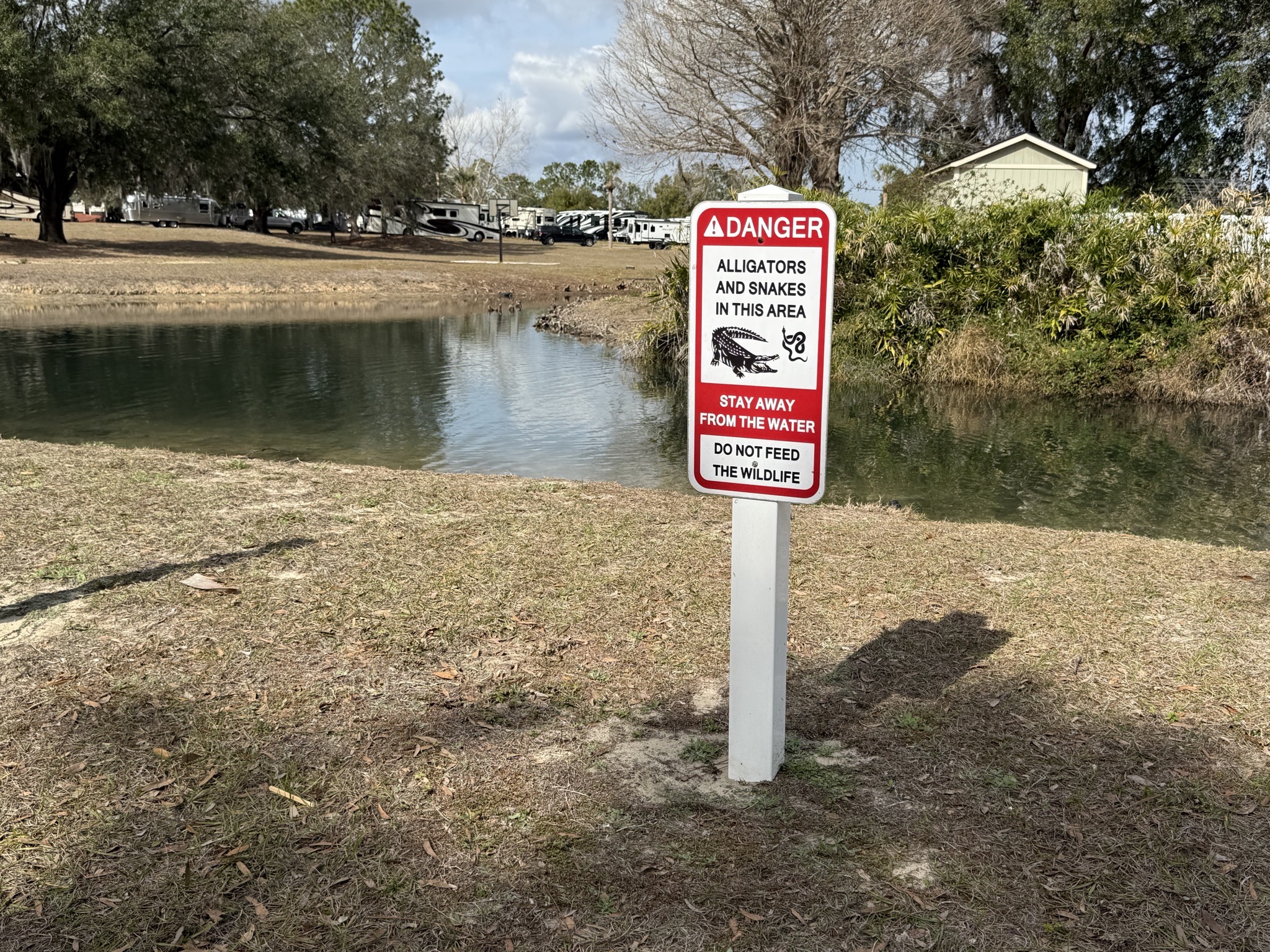 Alligators and snakes in this area