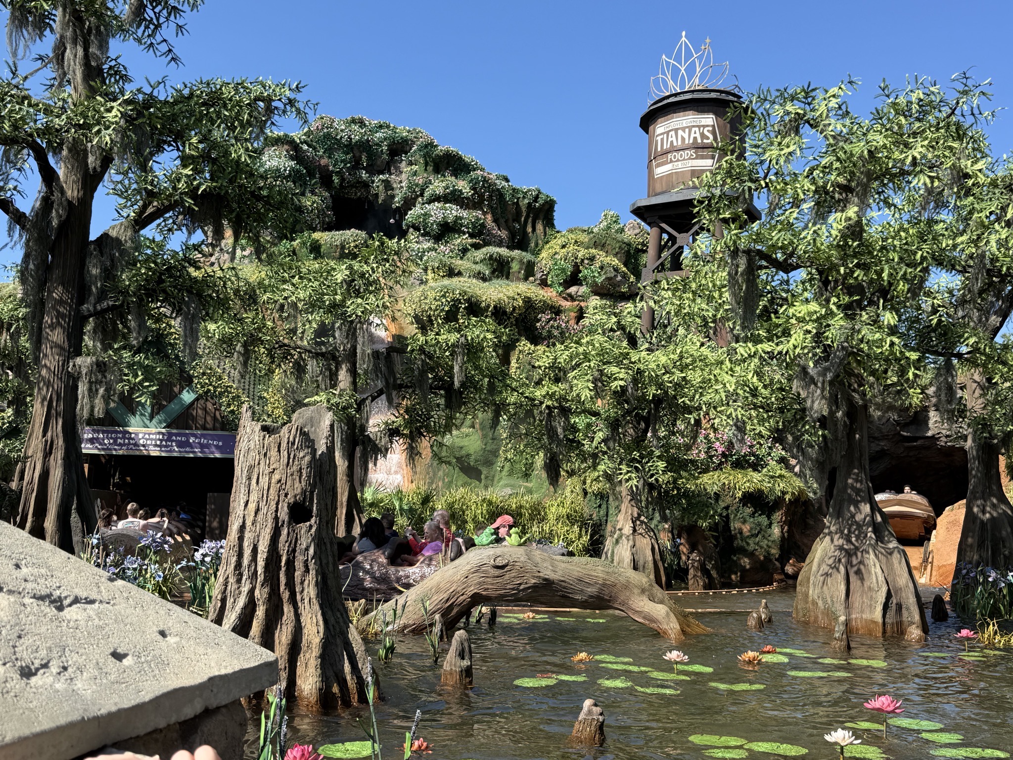 Tiana's Bayou Adventure