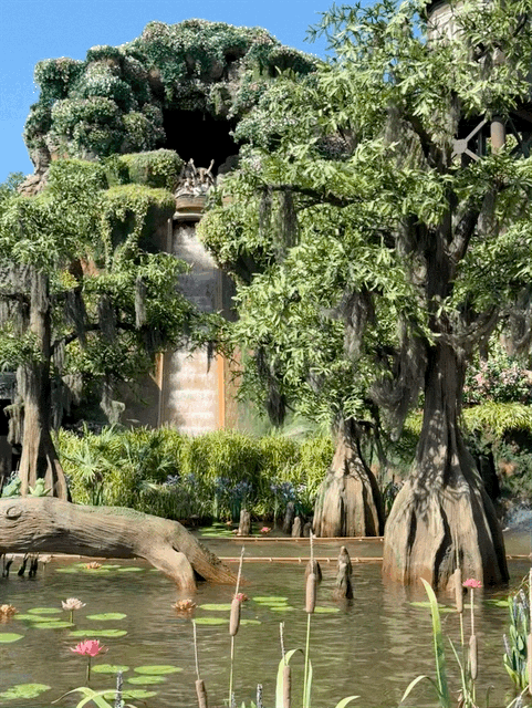 Tiana's Bayou Adventure