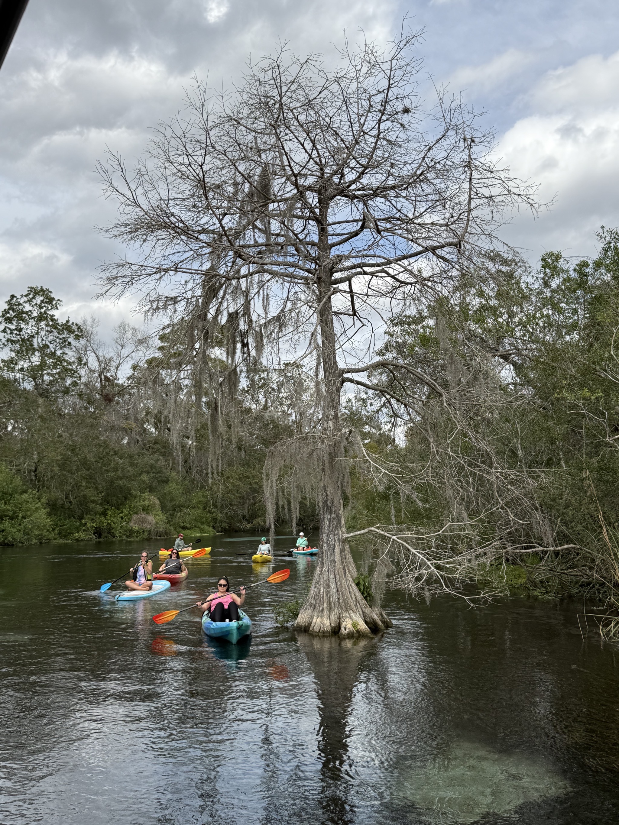 Kayaks on the river