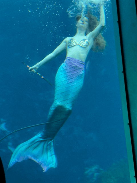Mermaid show