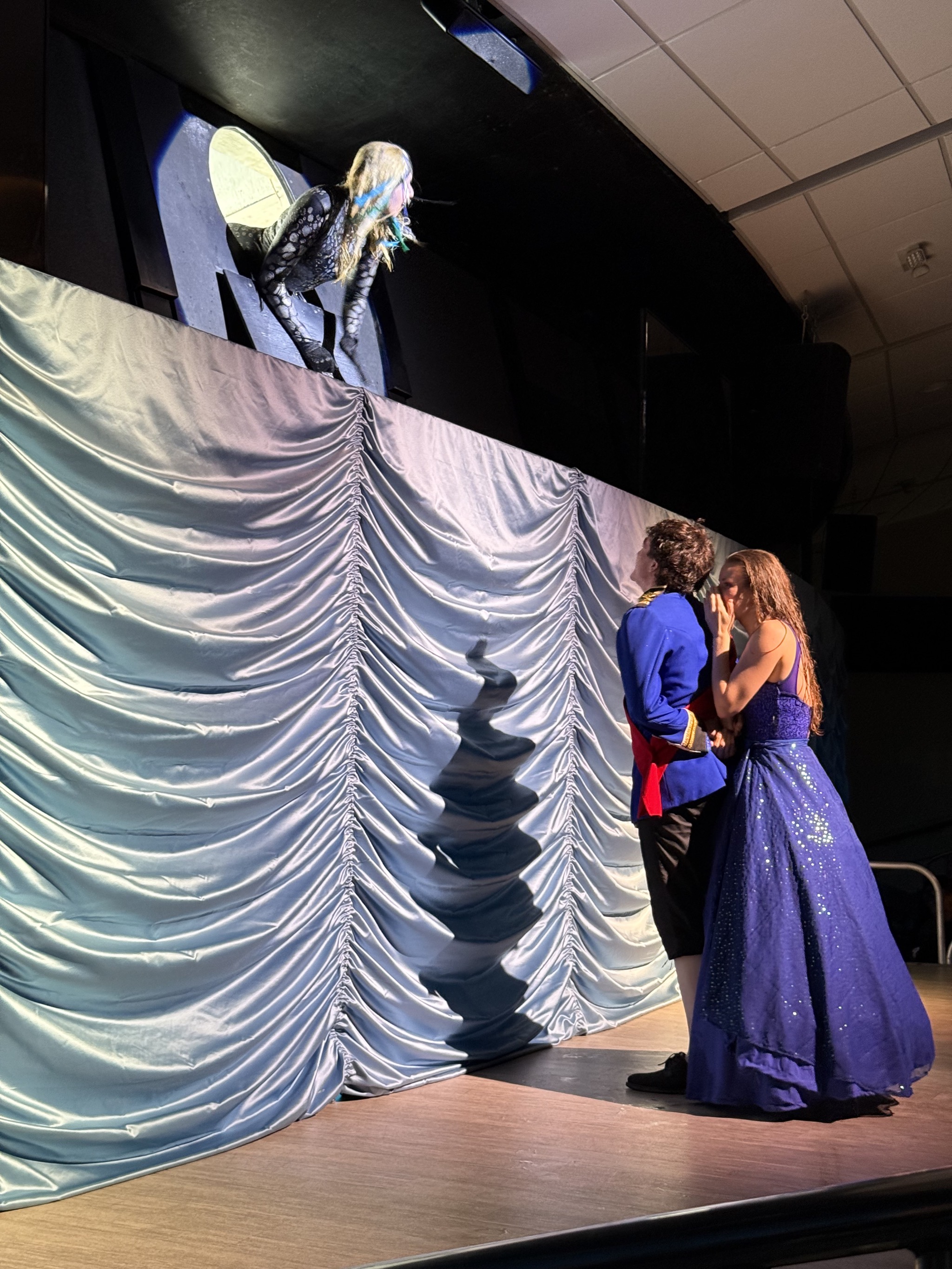 Mermaid show