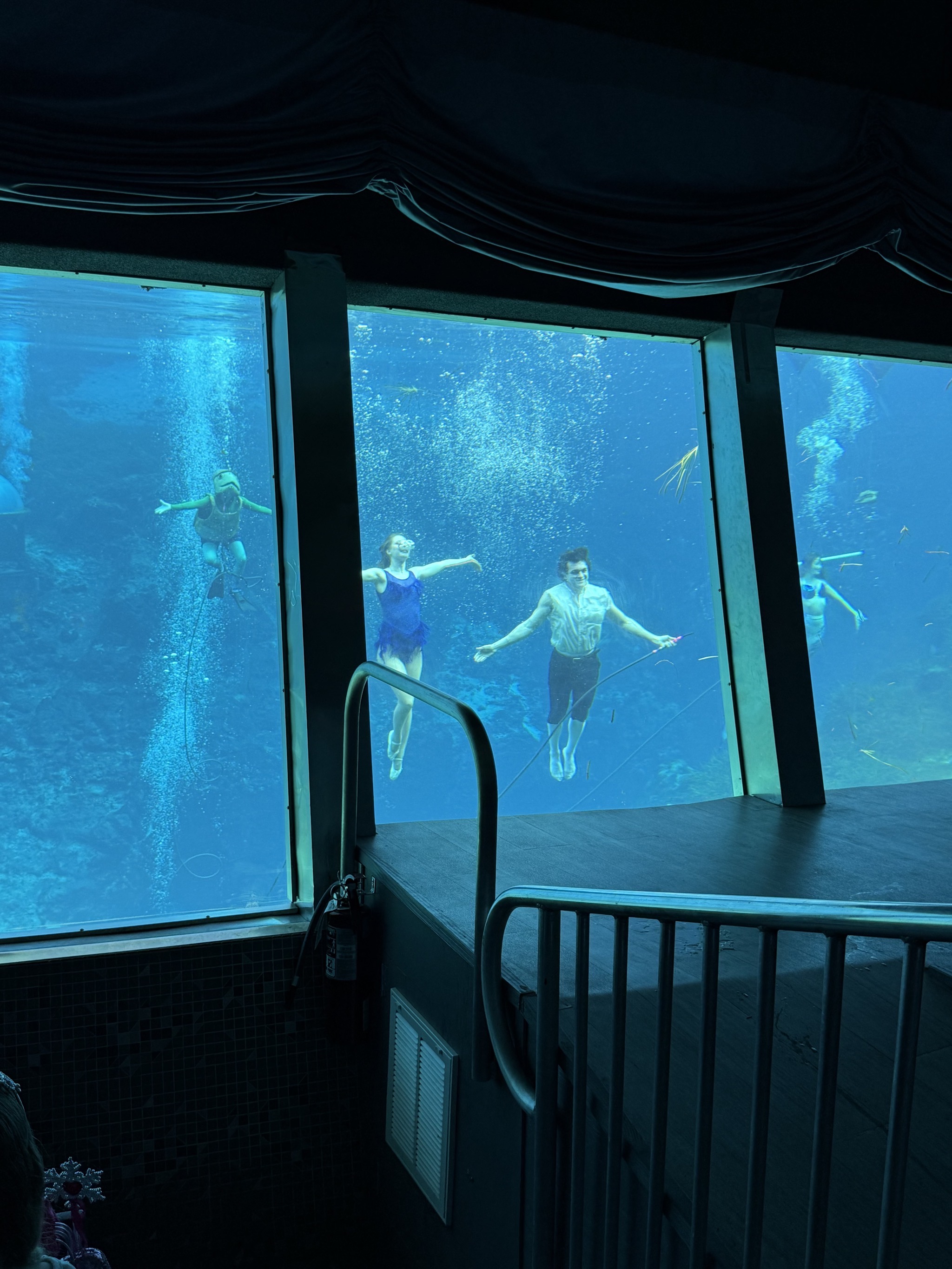 Mermaid show
