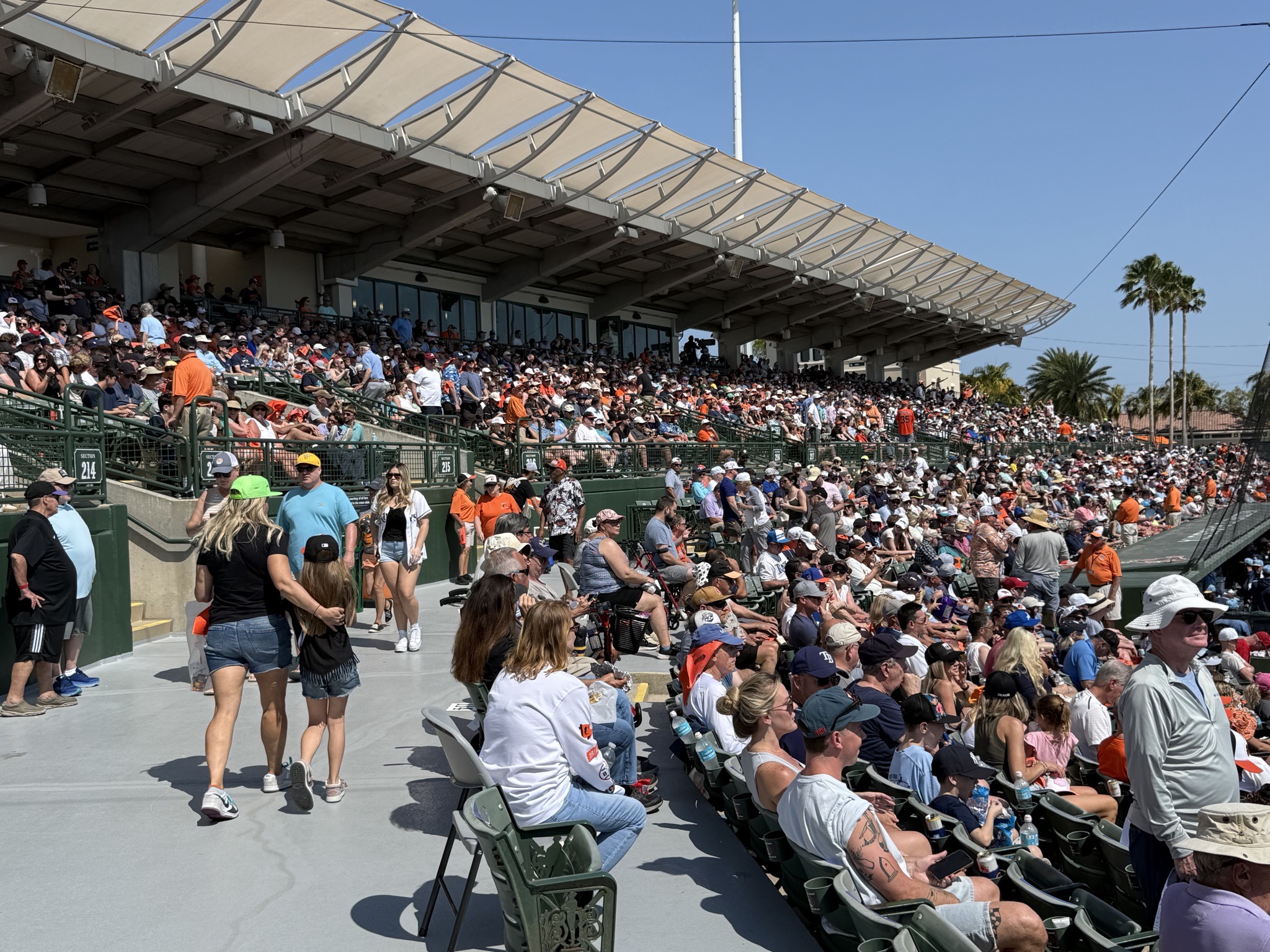 Ballpark