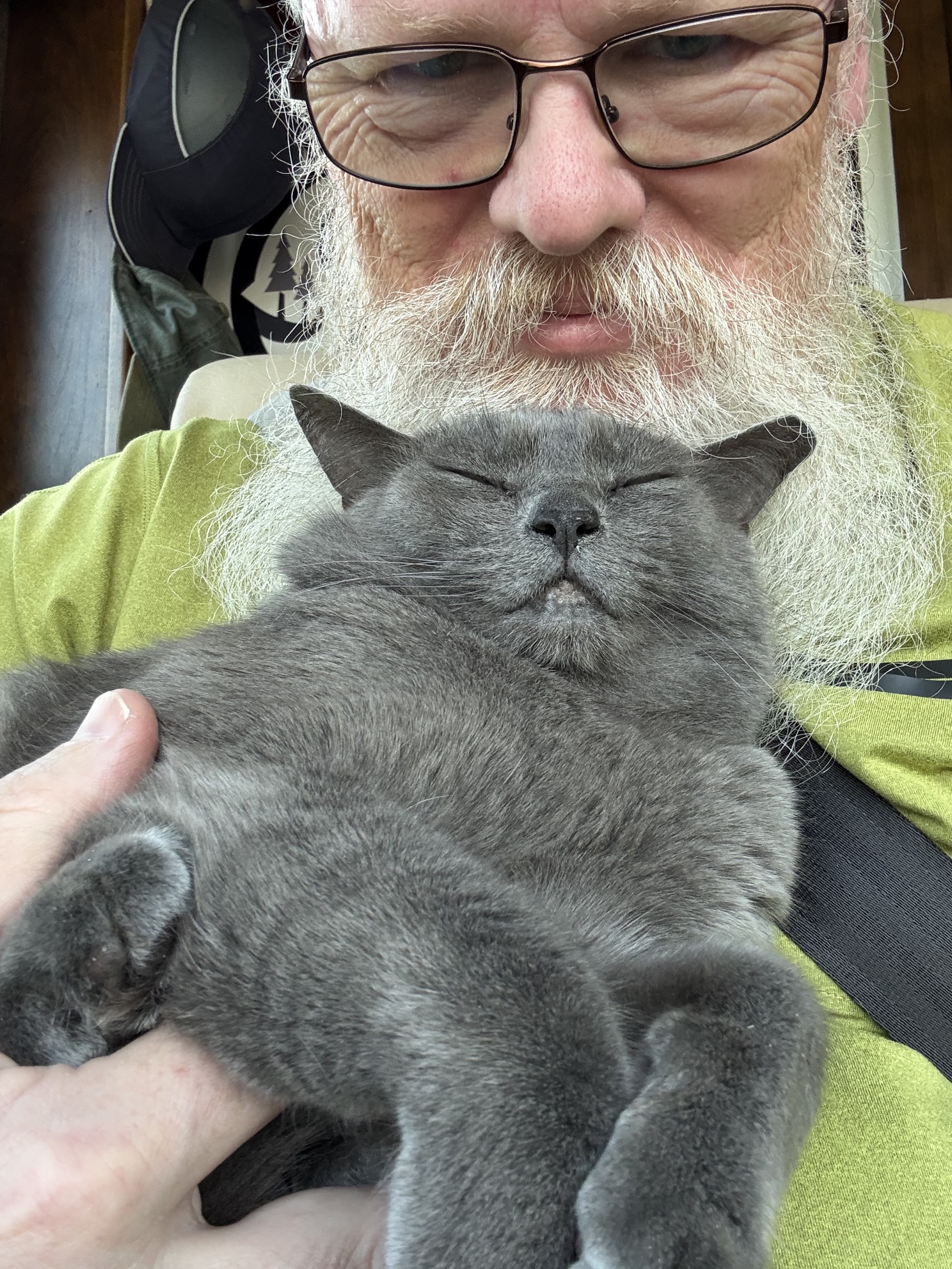 Snuggly Paladin