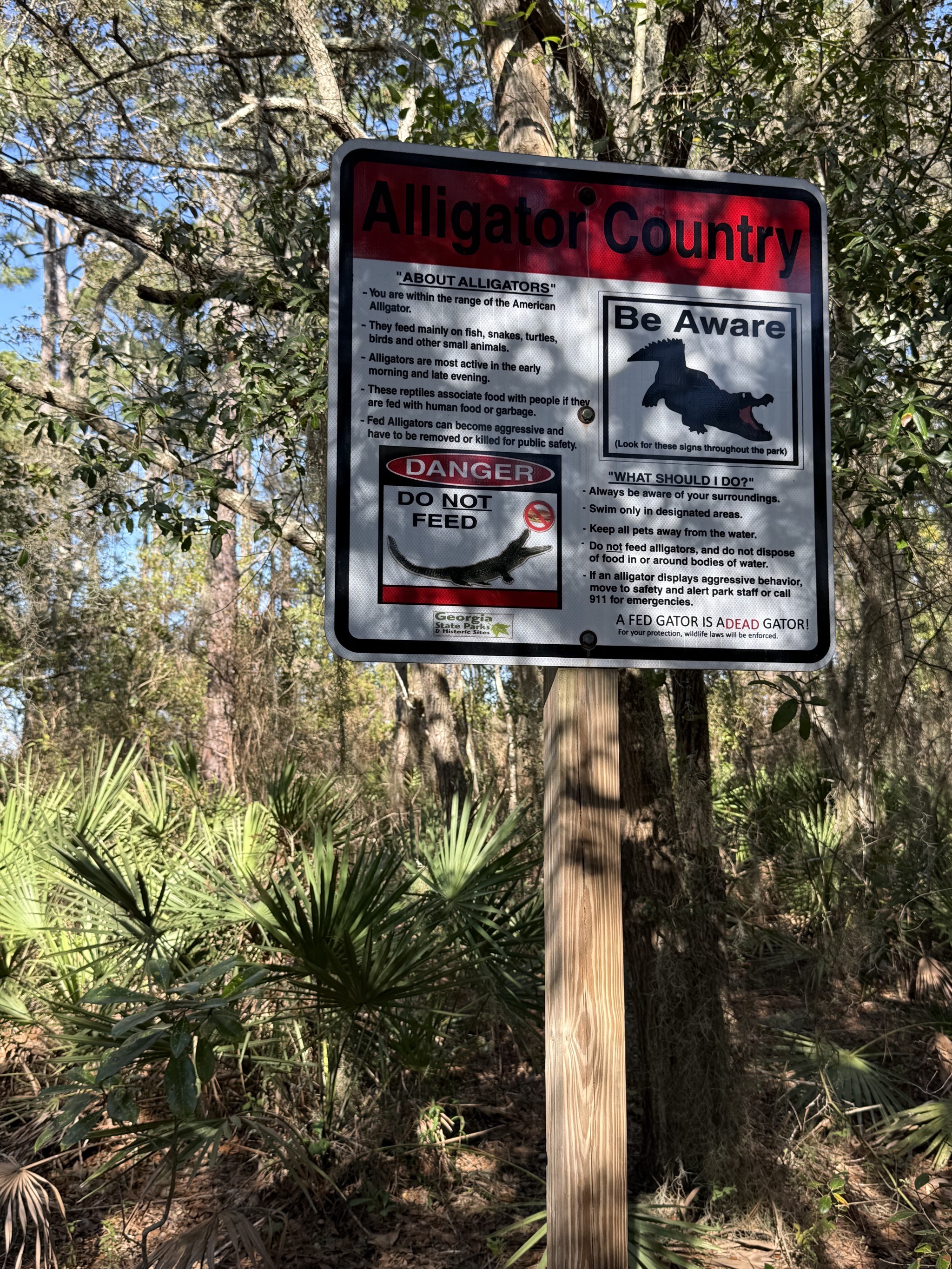 Alligator country
