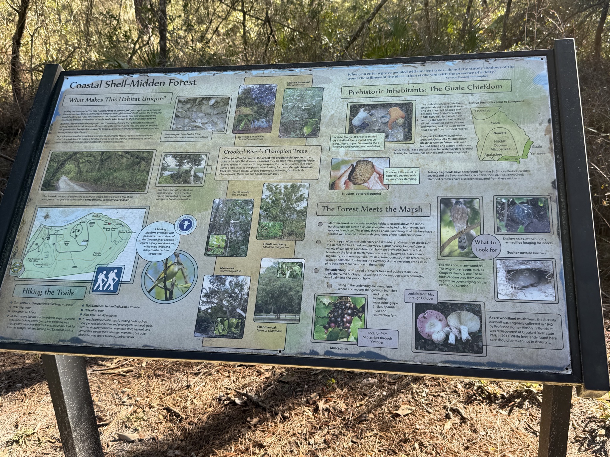 Info sign