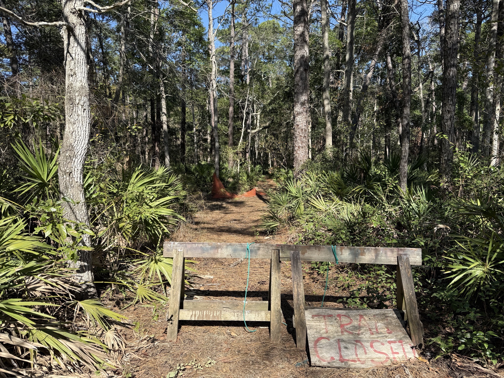 Boardwalk removed